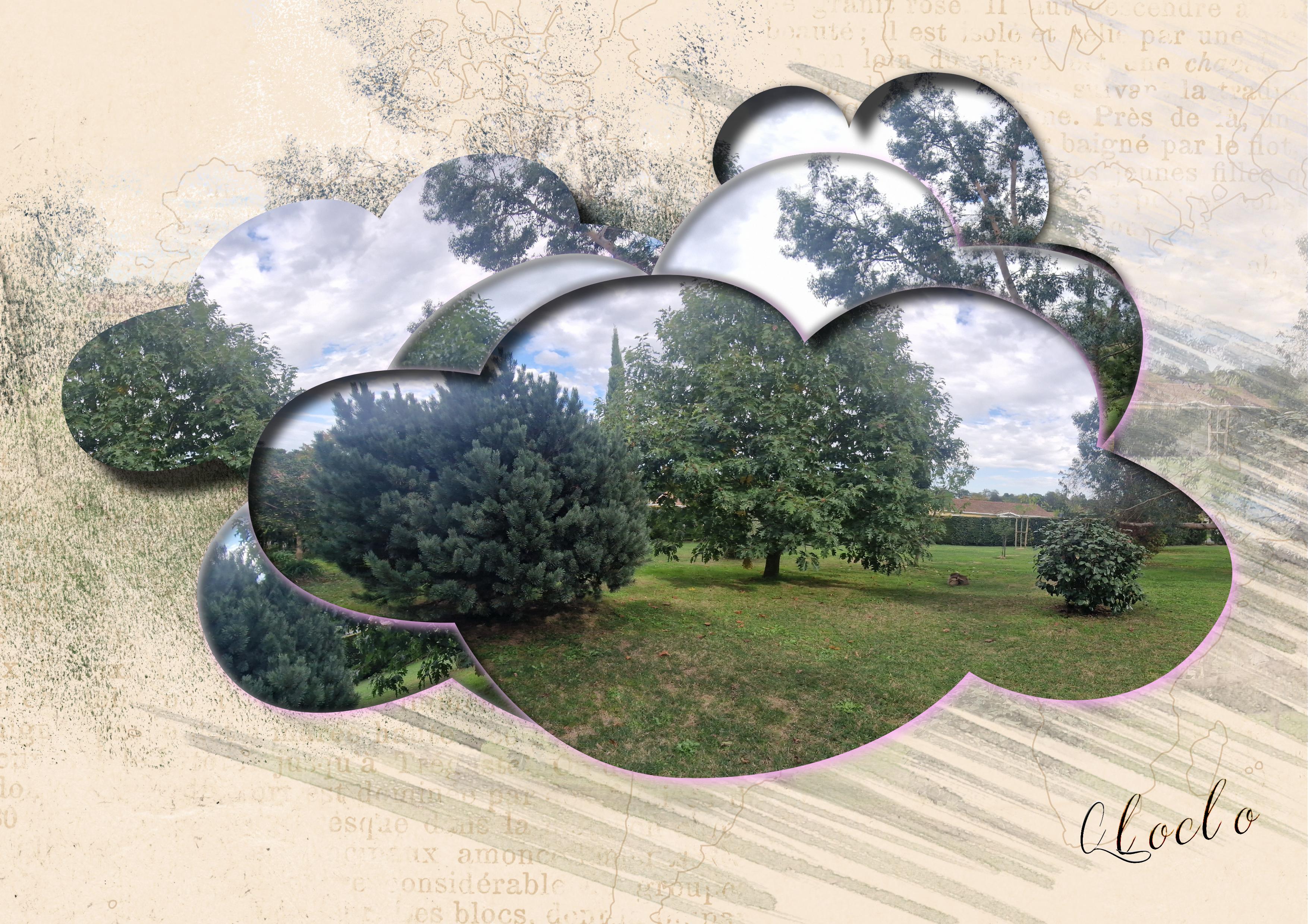 Composition du 17 octobre 2022.jpg