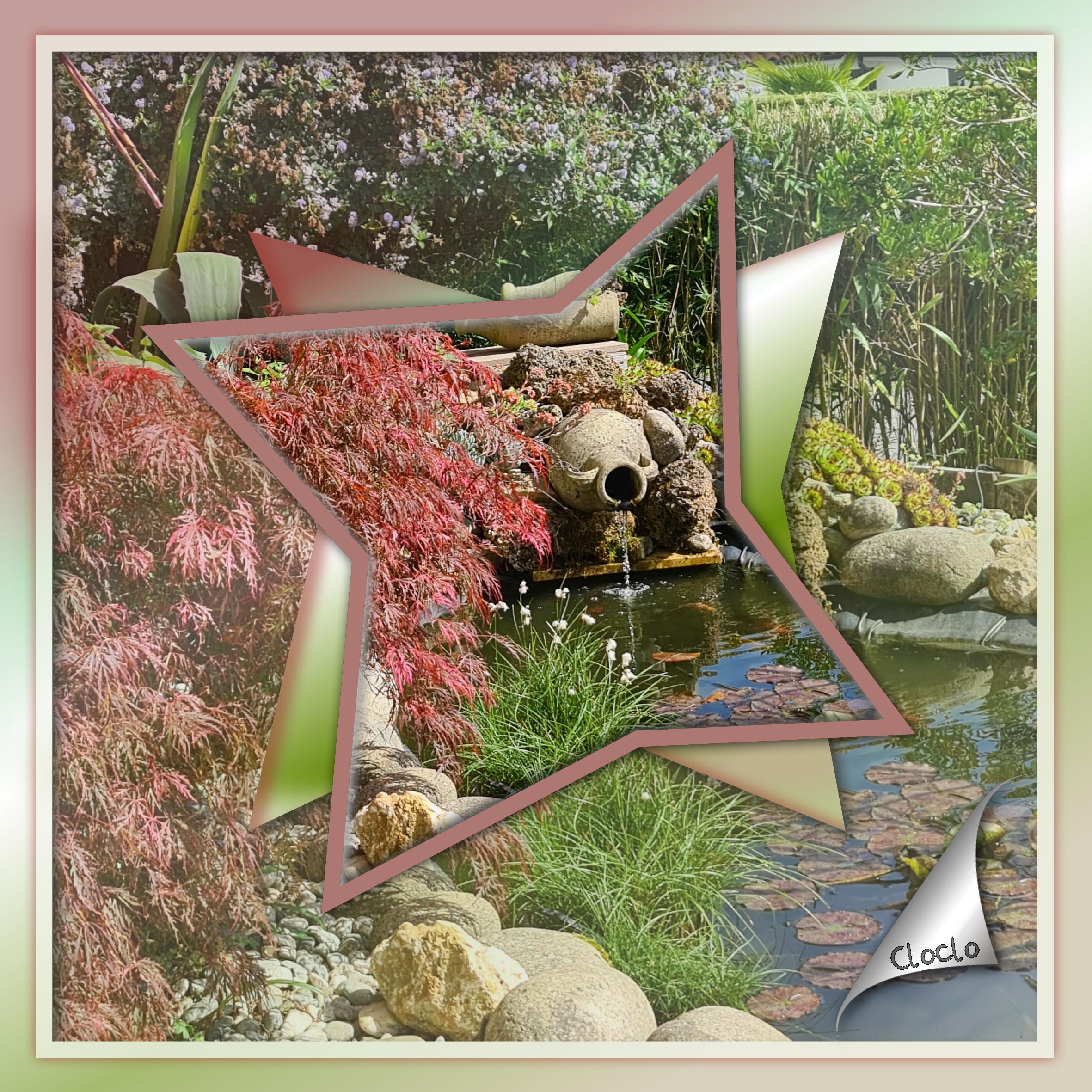 Composition du 18 août 2022 le bassin aux poissons.jpg