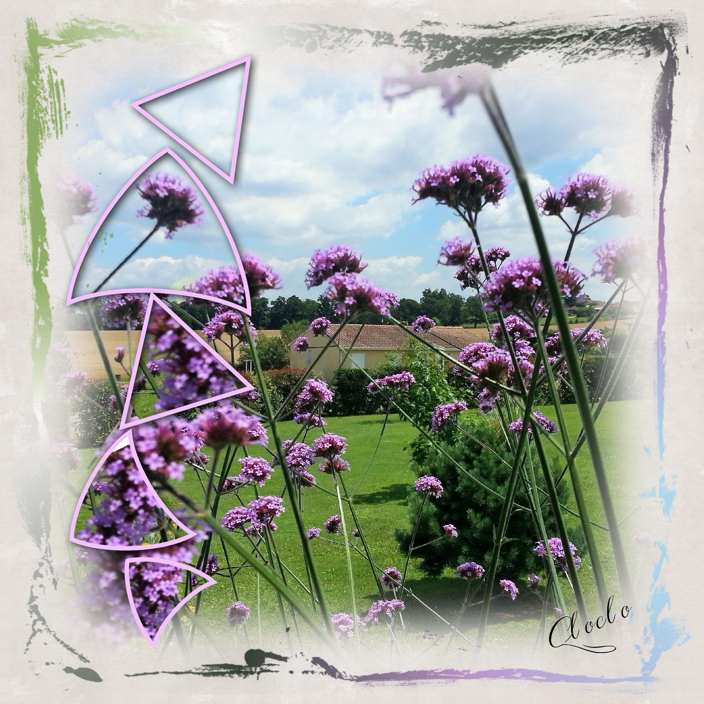 Composition du 1er décembre 2022.jpg