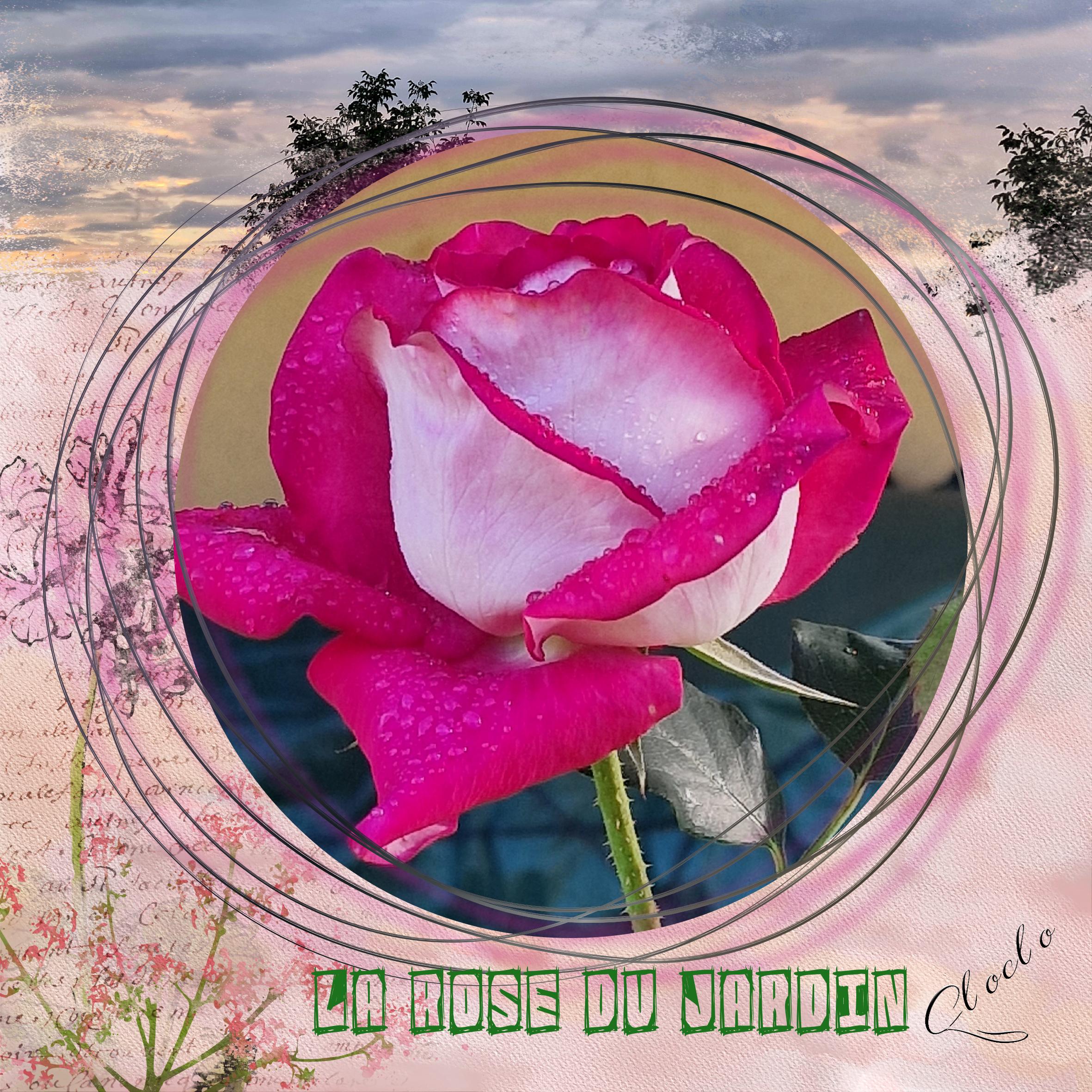 Composition du 2 novembre 2022.jpg