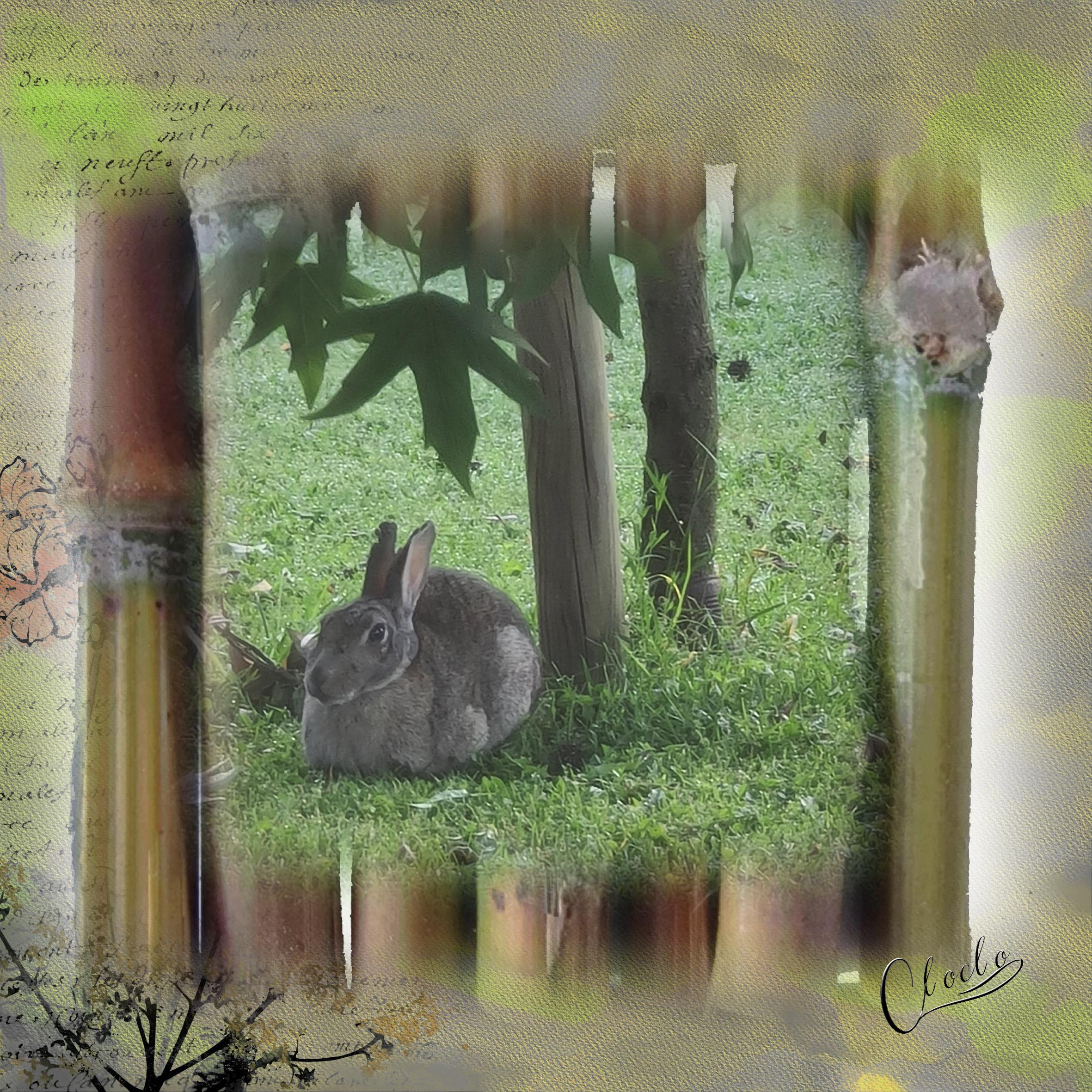 Composition du 20 février 2023.jpg