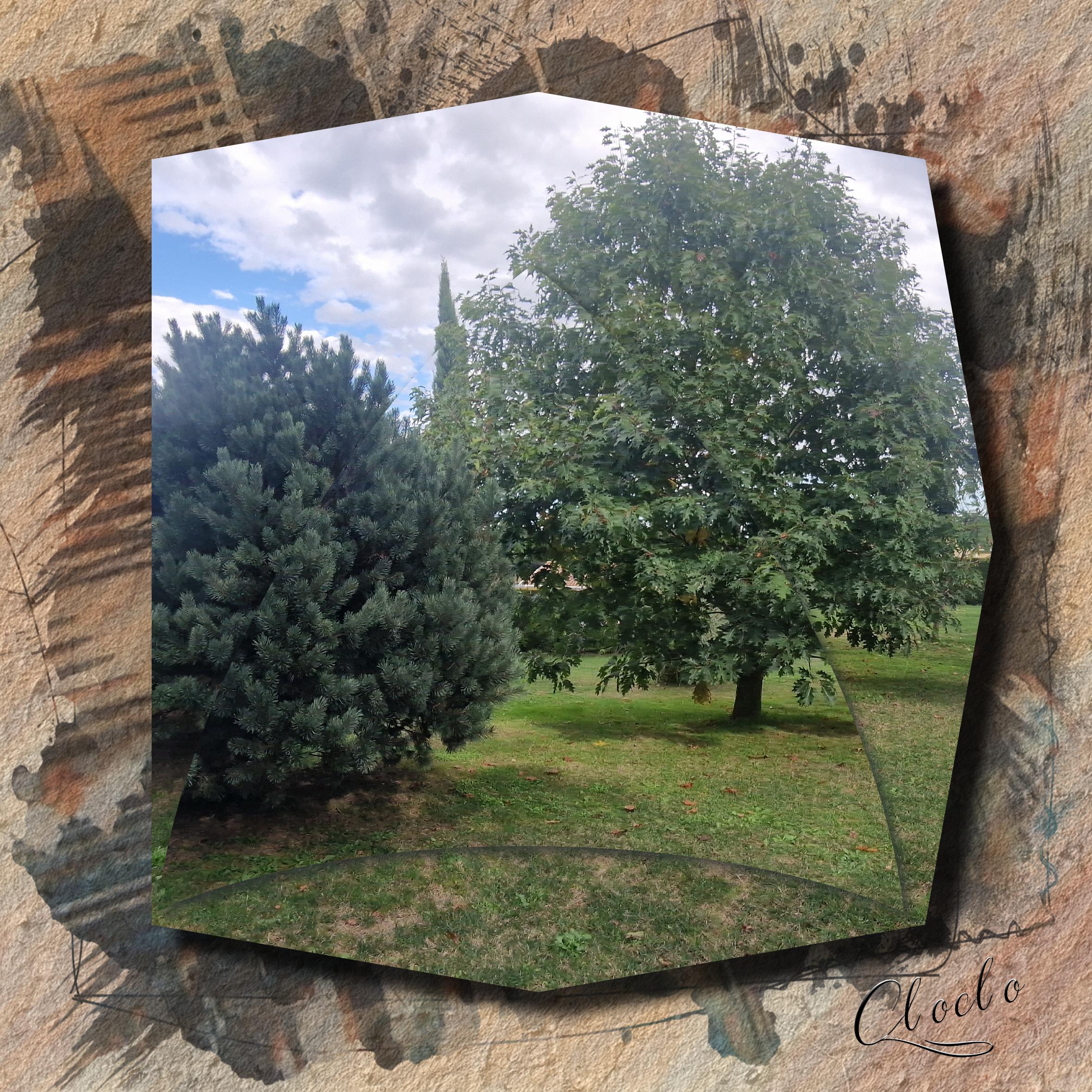 Composition du 20 octobre 2022.jpg