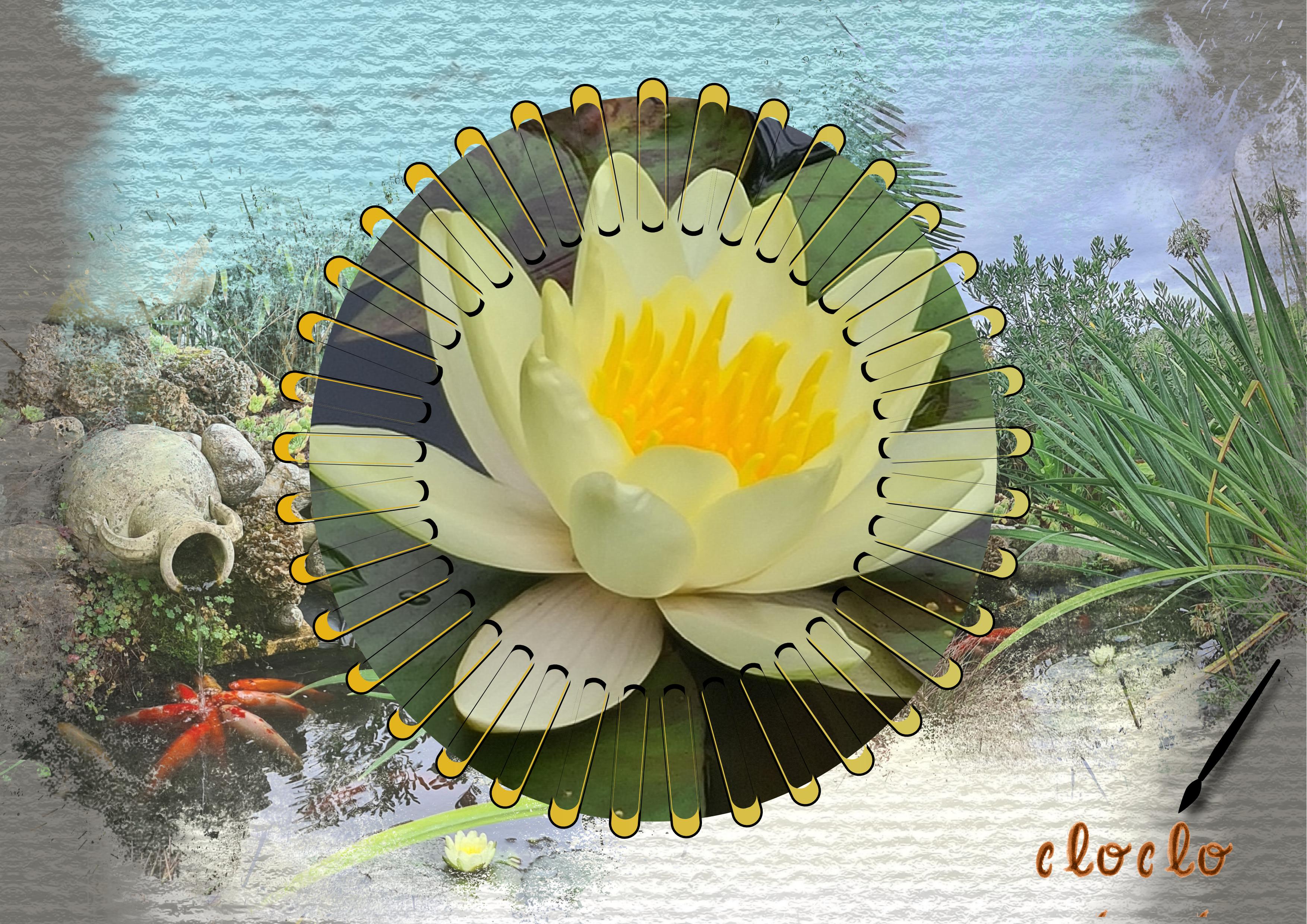 Composition du 21 juillet 2022 bassin aux poissons.jpg