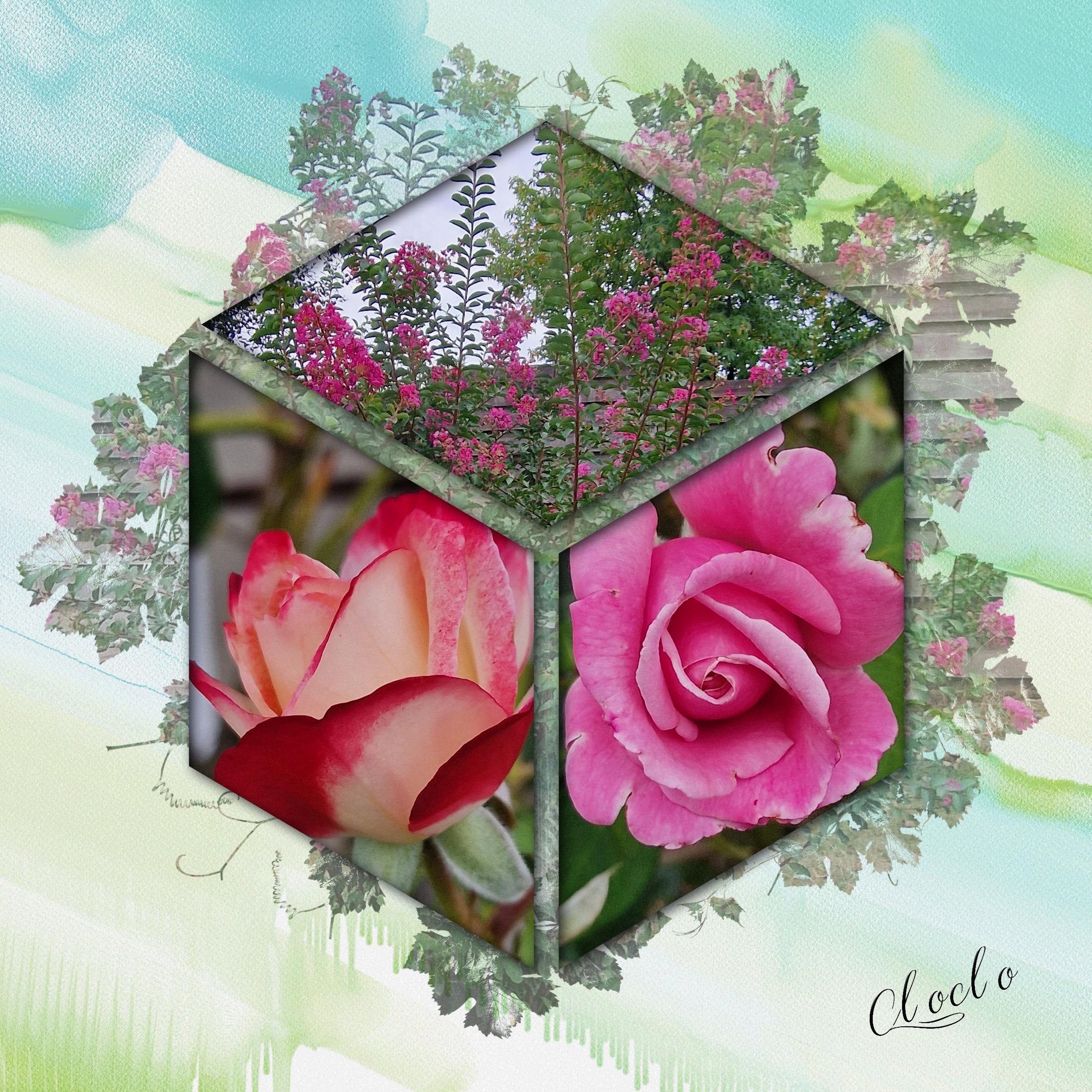 Composition du 21 octobre 2022.jpg