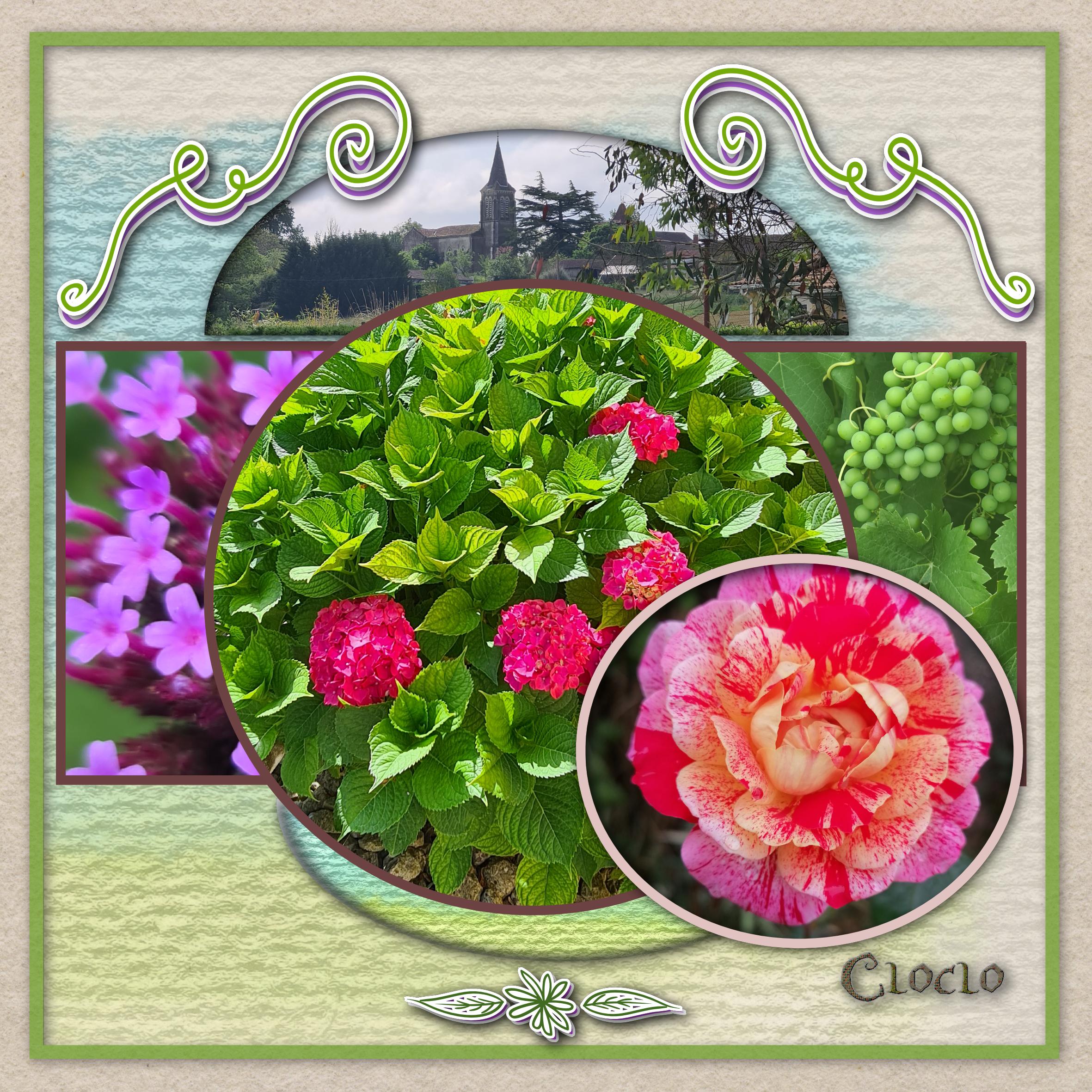 Composition du 25 juin 2022.jpg