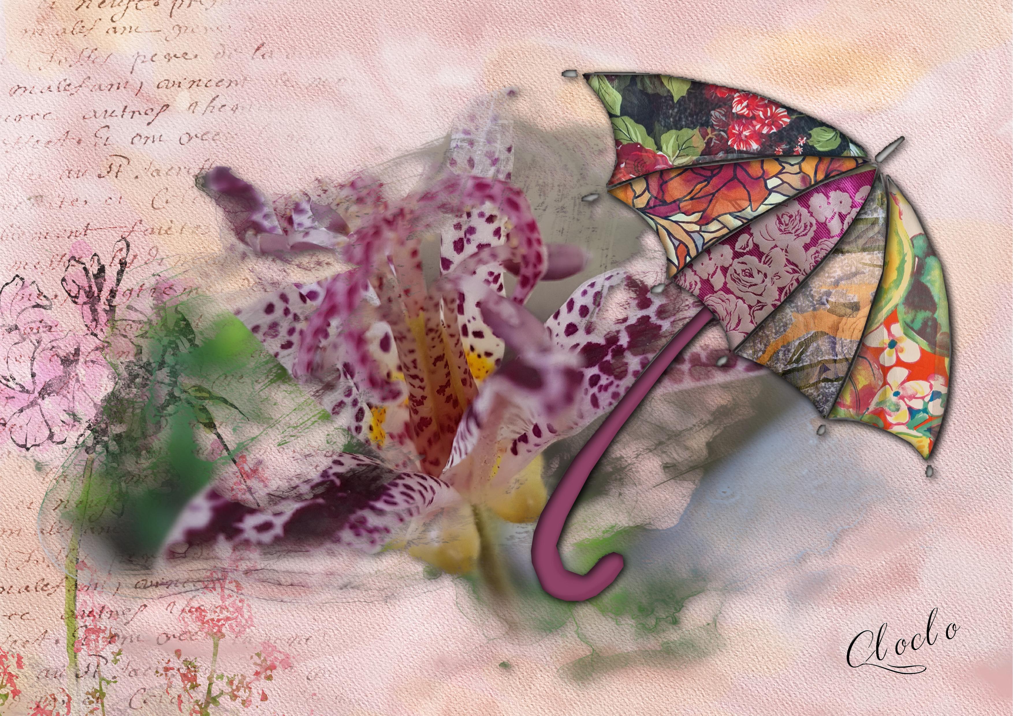 Composition du 25 octobre 2022.jpg