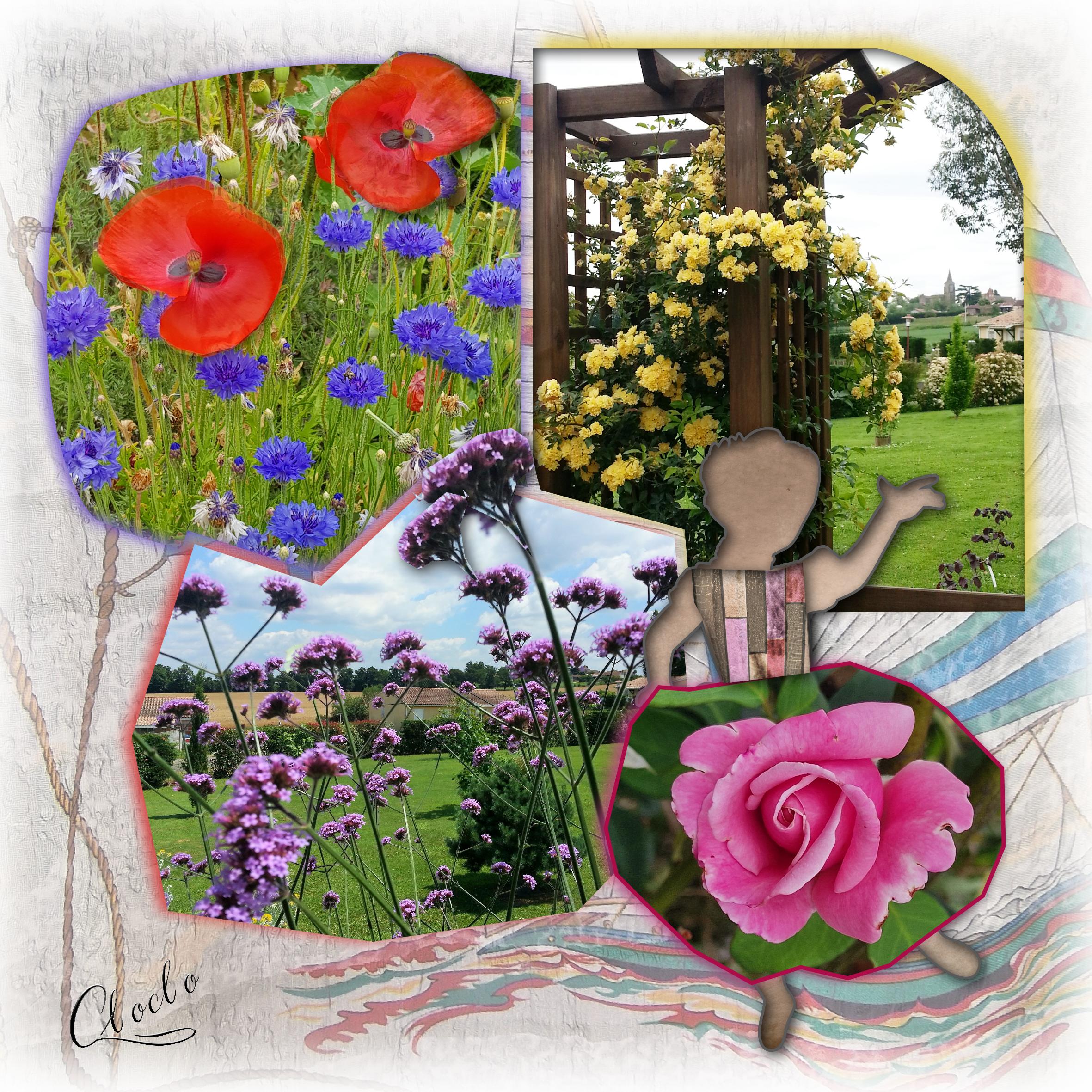 Composition du 26 octobre 2022.jpg