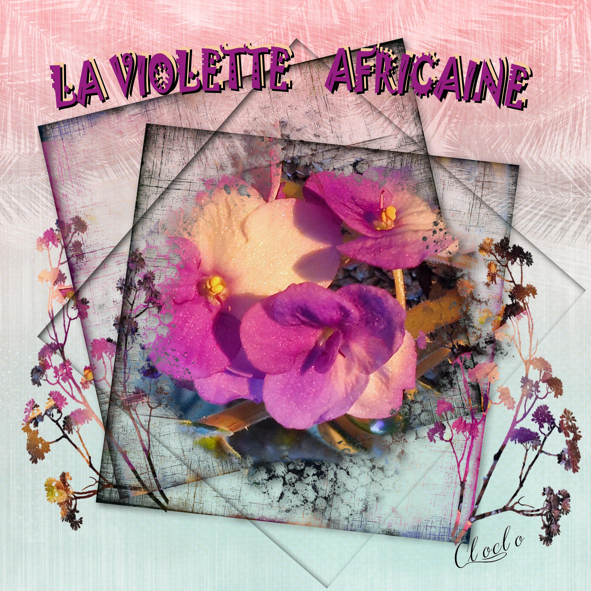 Composition du 27 janvier 2023.jpg