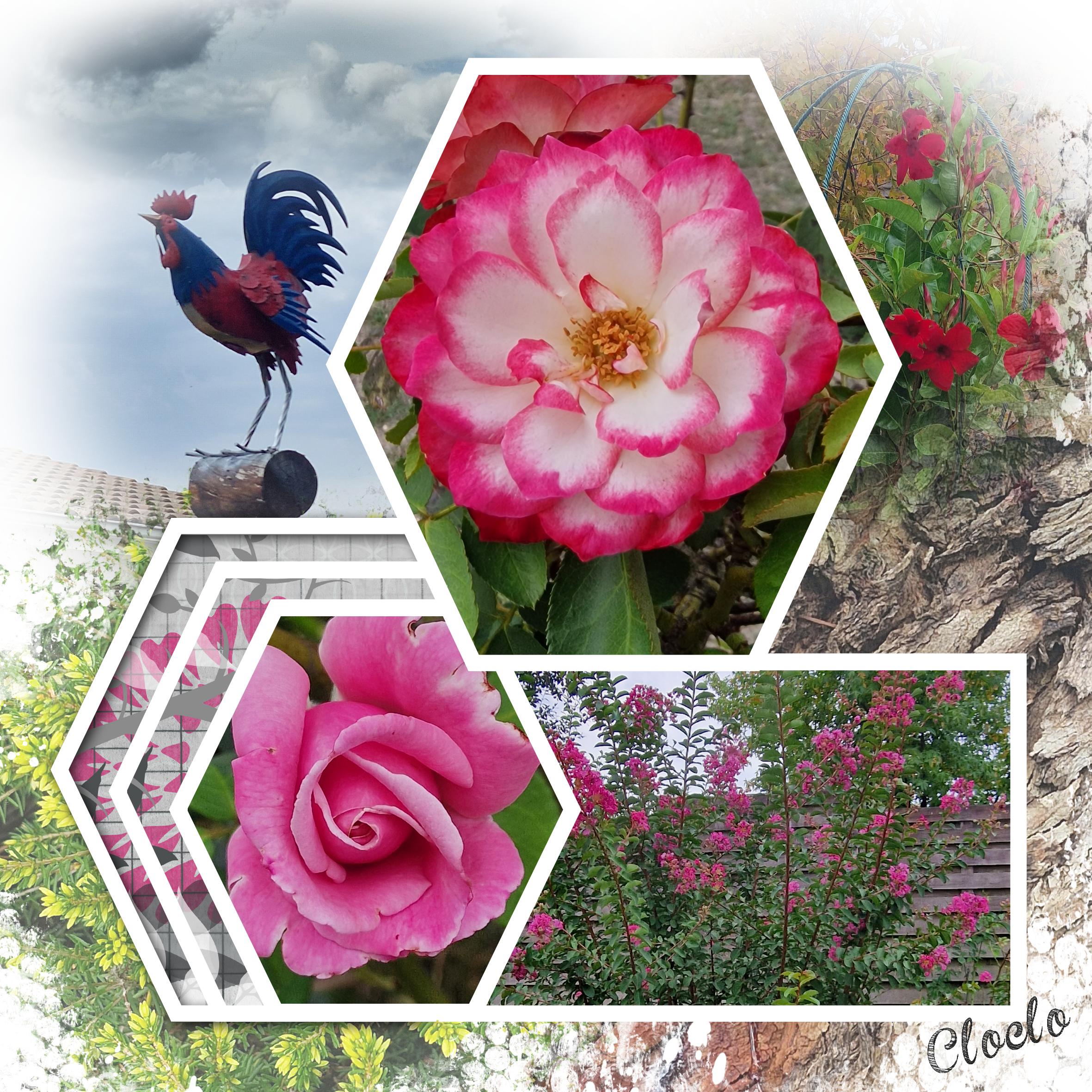 Composition du 27 septembre 2022.jpg