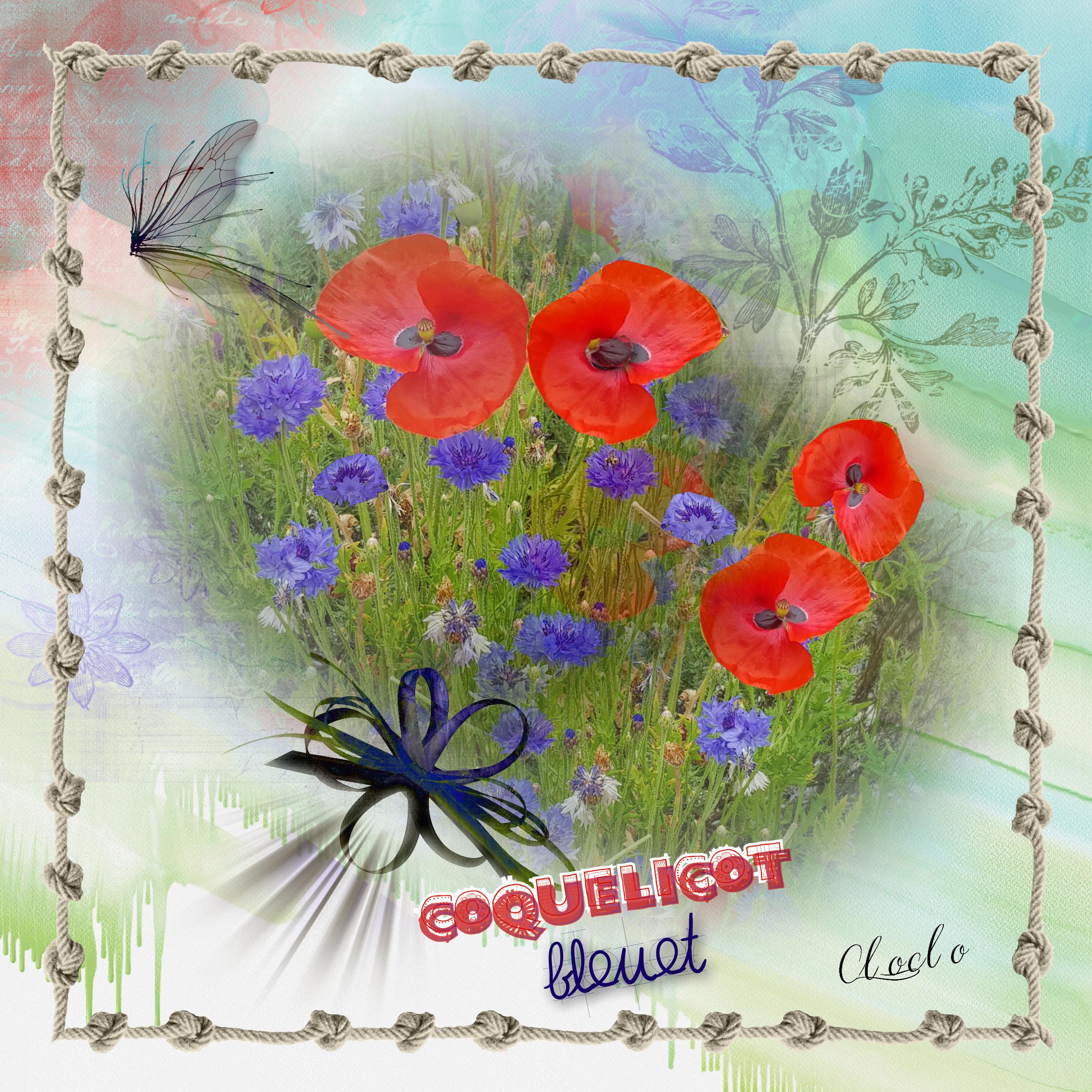 Composition du 3 décembre 2022.jpg