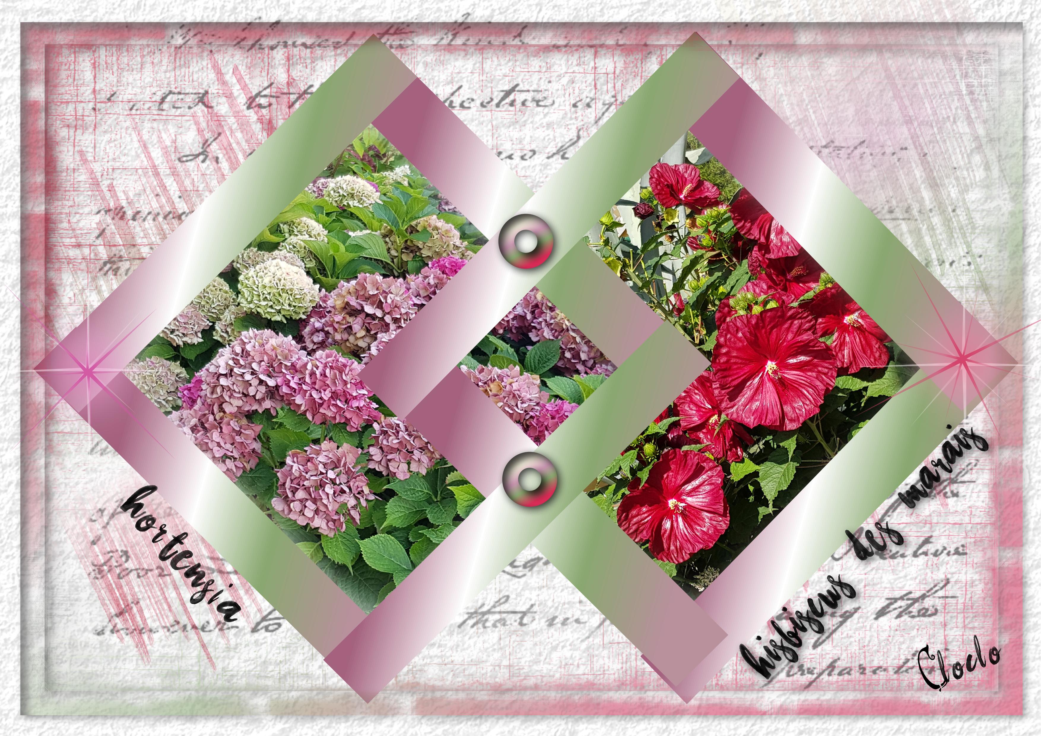 Composition du 30 août 2022.jpg