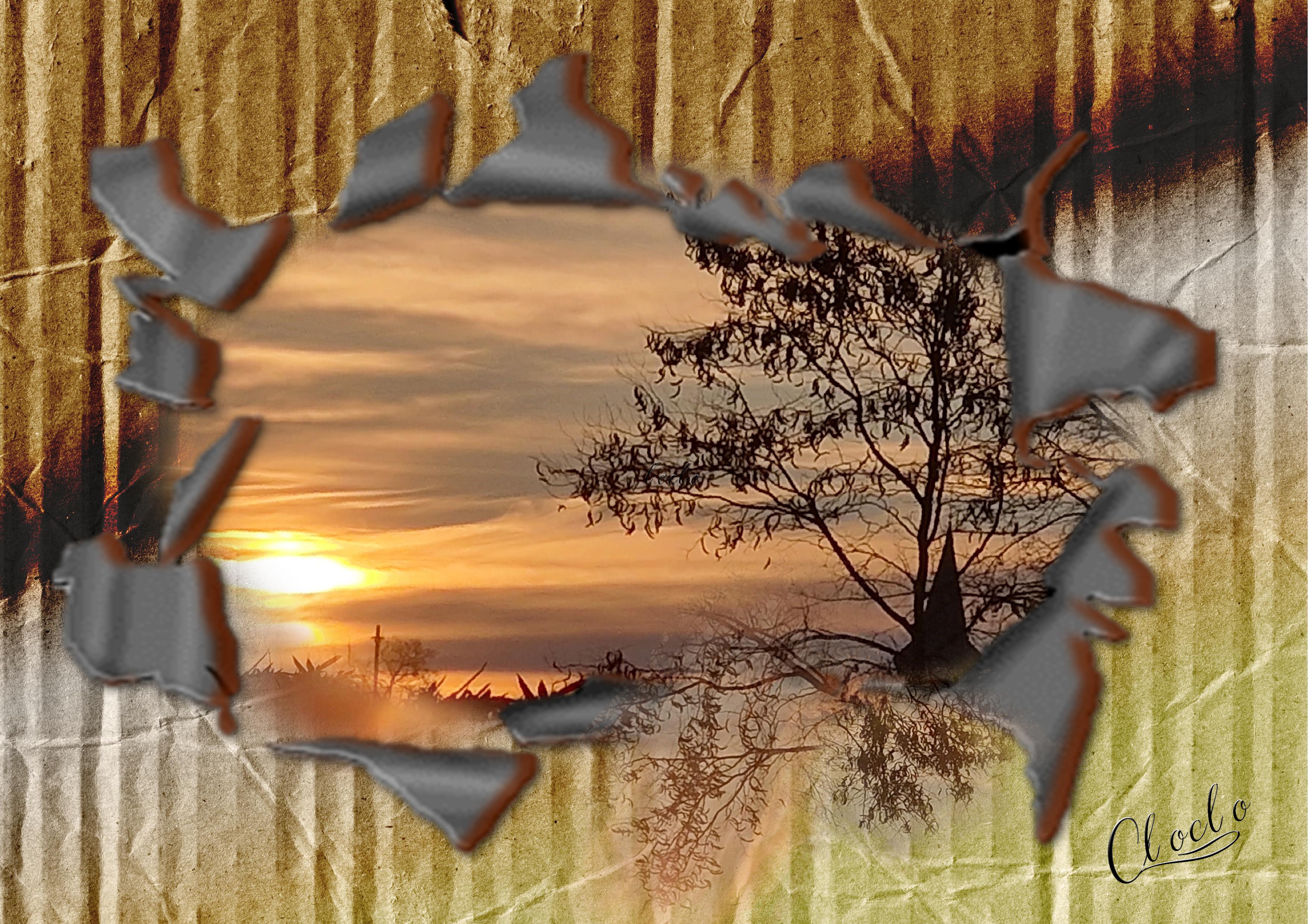 Composition du 31 janvier 2023.jpg