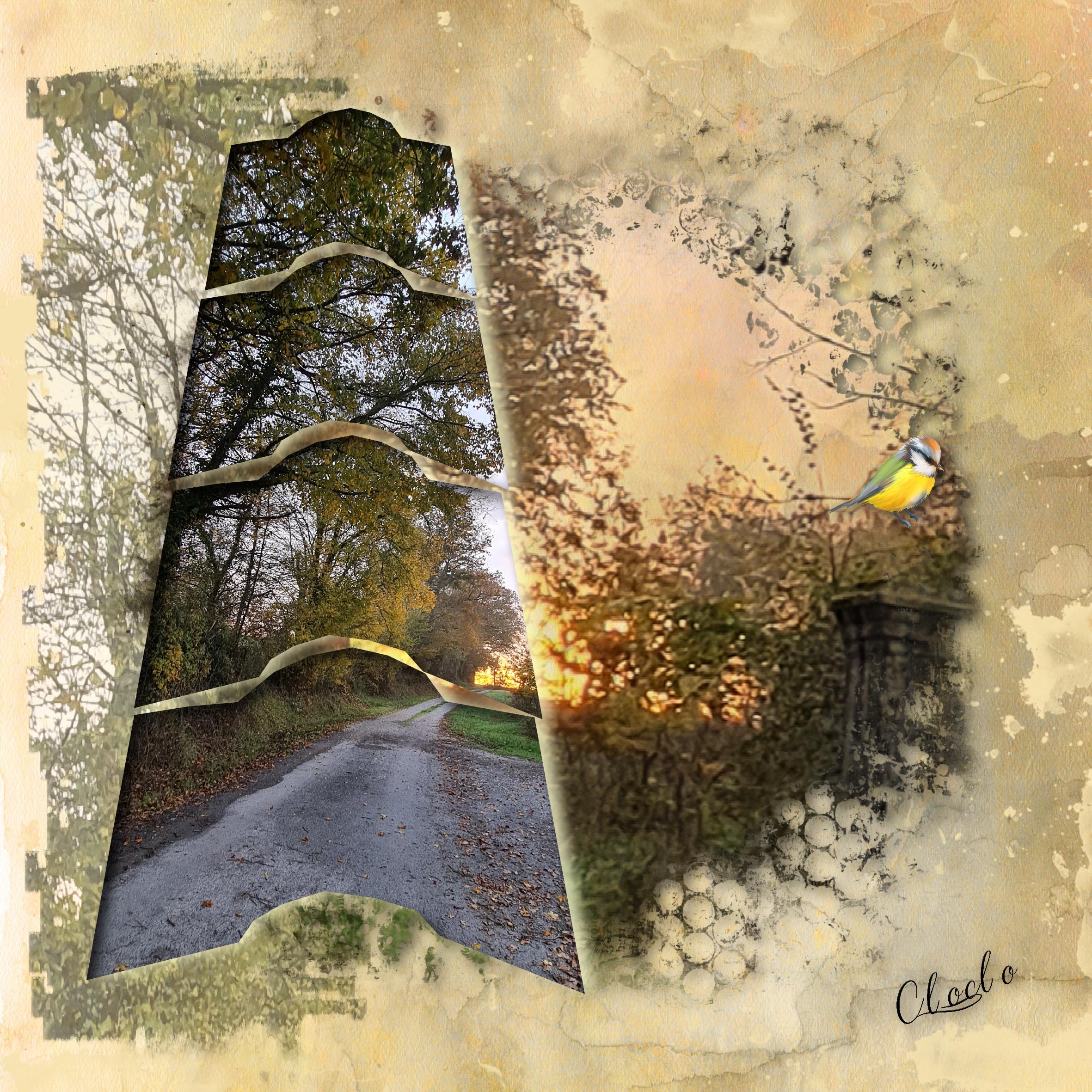 Composition du 4 déc 2022.jpg