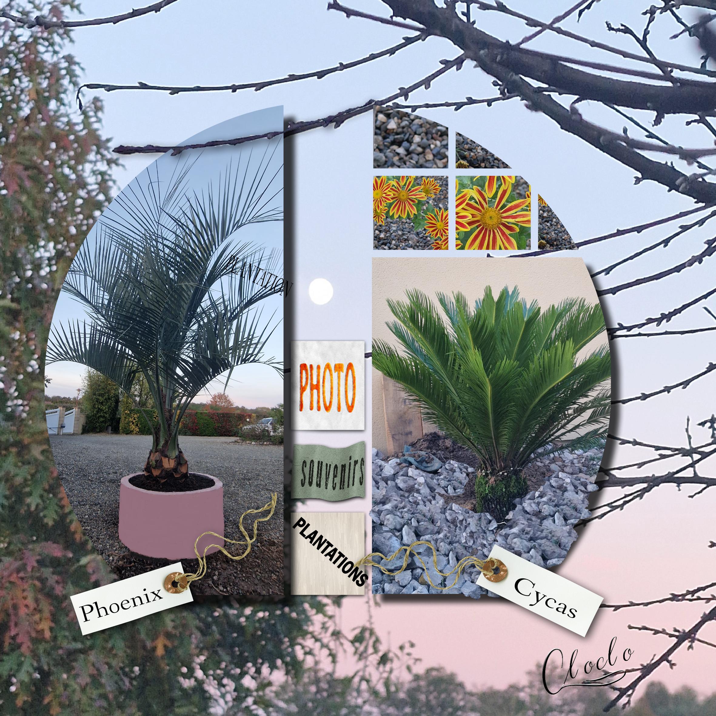 Composition du 5 novembre 2022.jpg