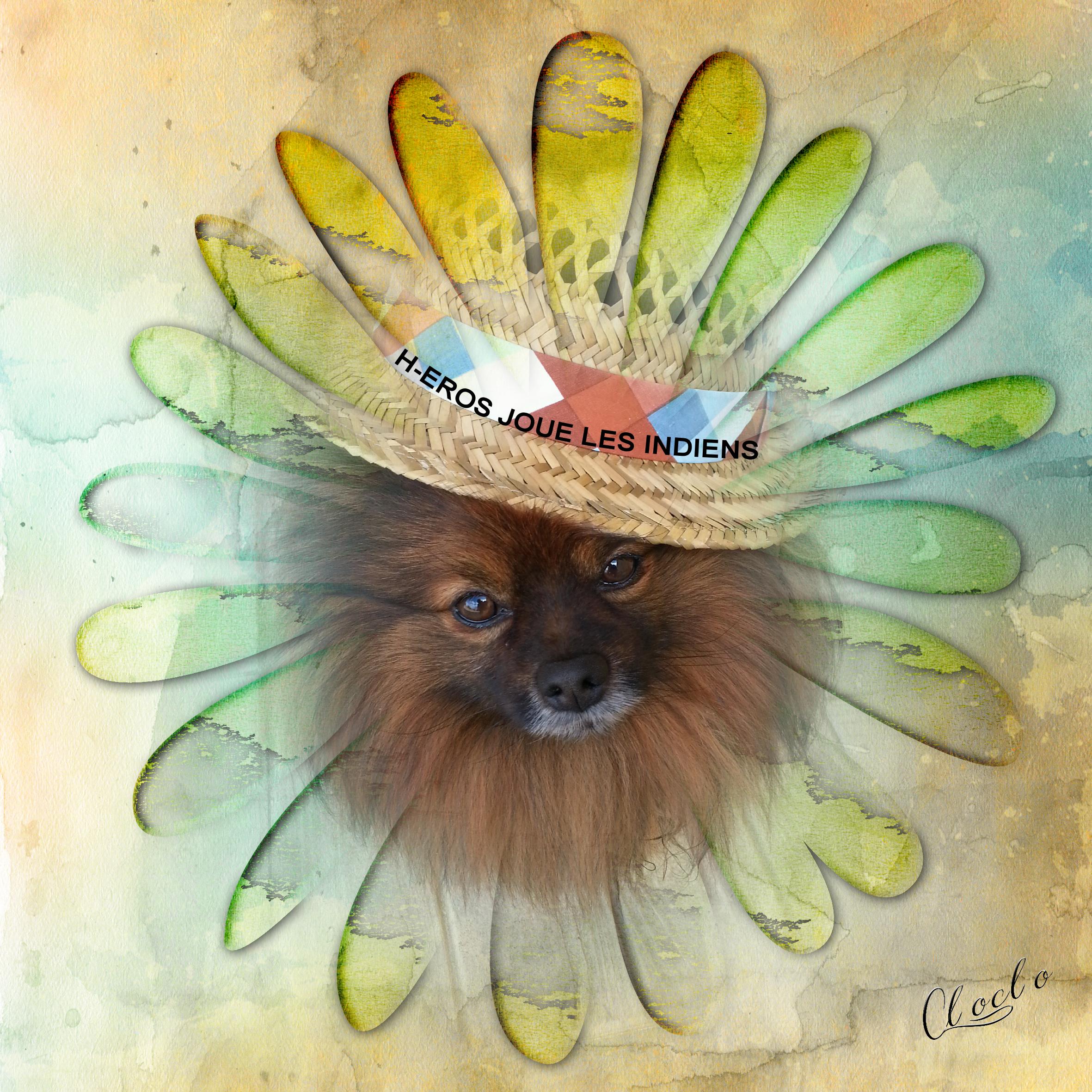 Composition du 6 février 2023.jpg