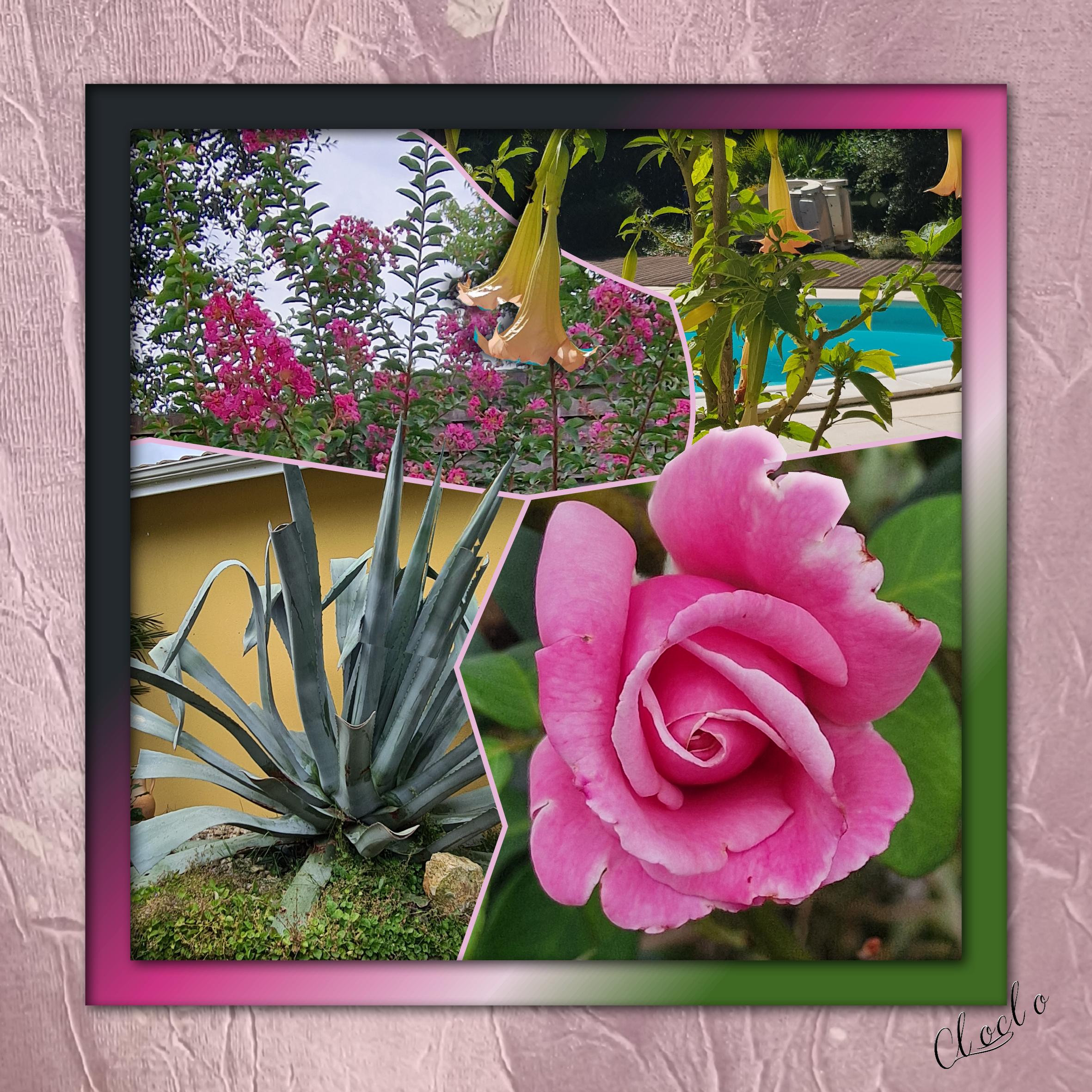 Composition du 6 novembre 2022.jpg