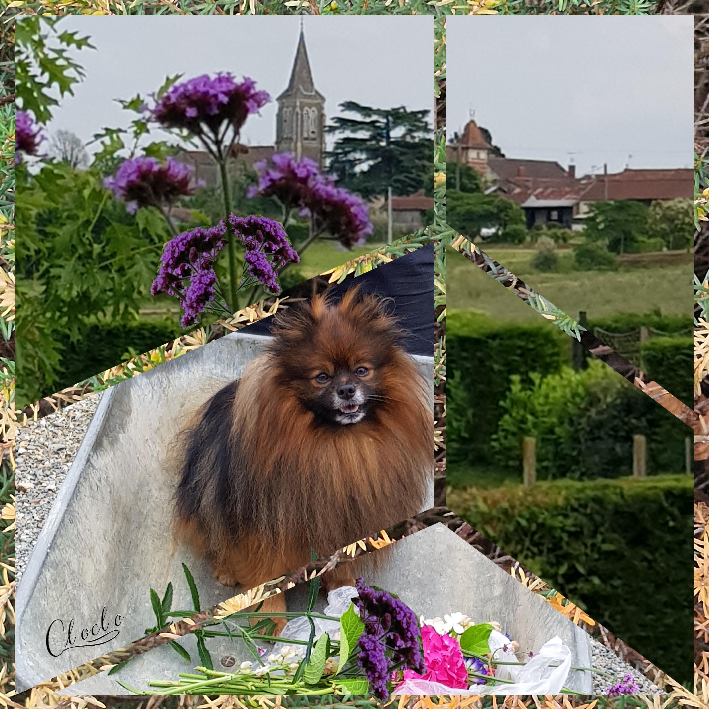 Composition du 7 février 2023.jpg