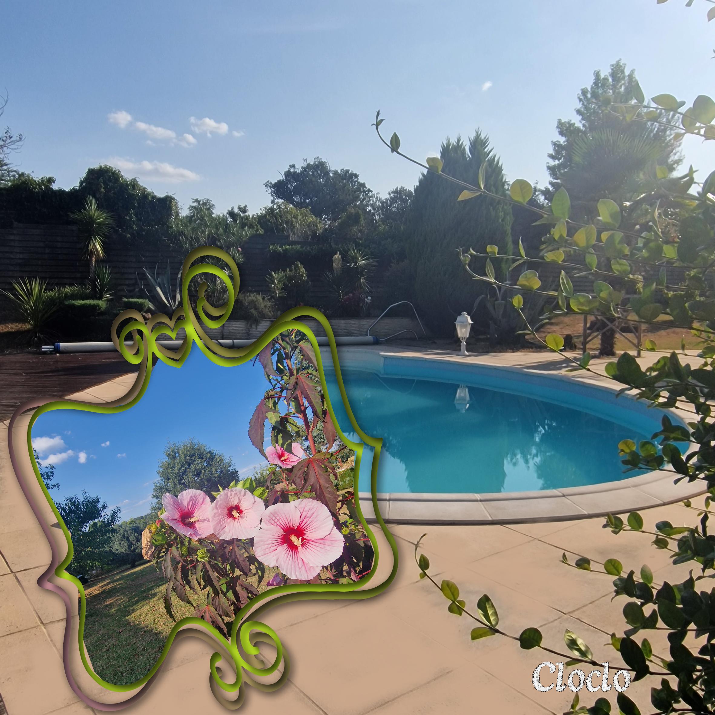 Composition du 8 août 2022 (page 1).jpg