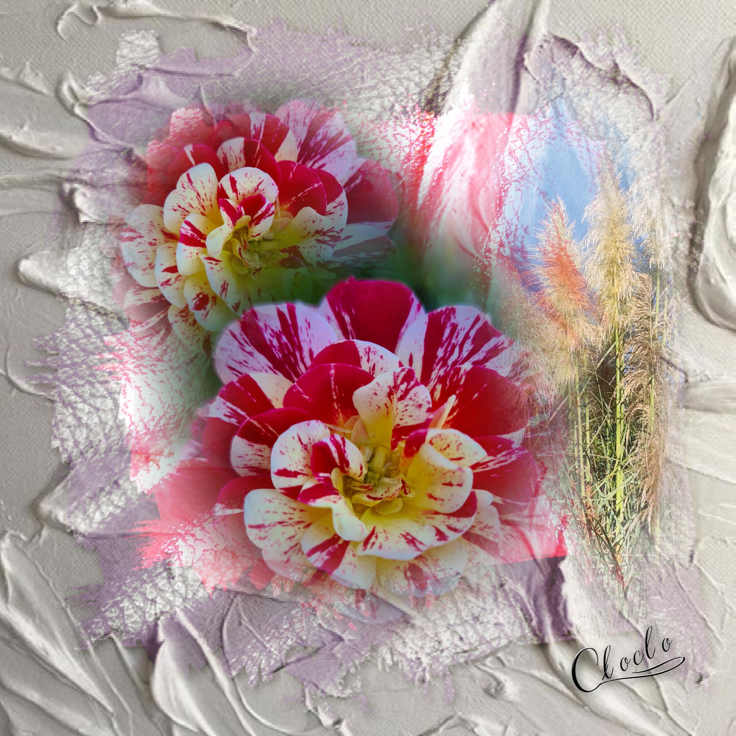 Composition1 du 25 septembre 2023.jpg