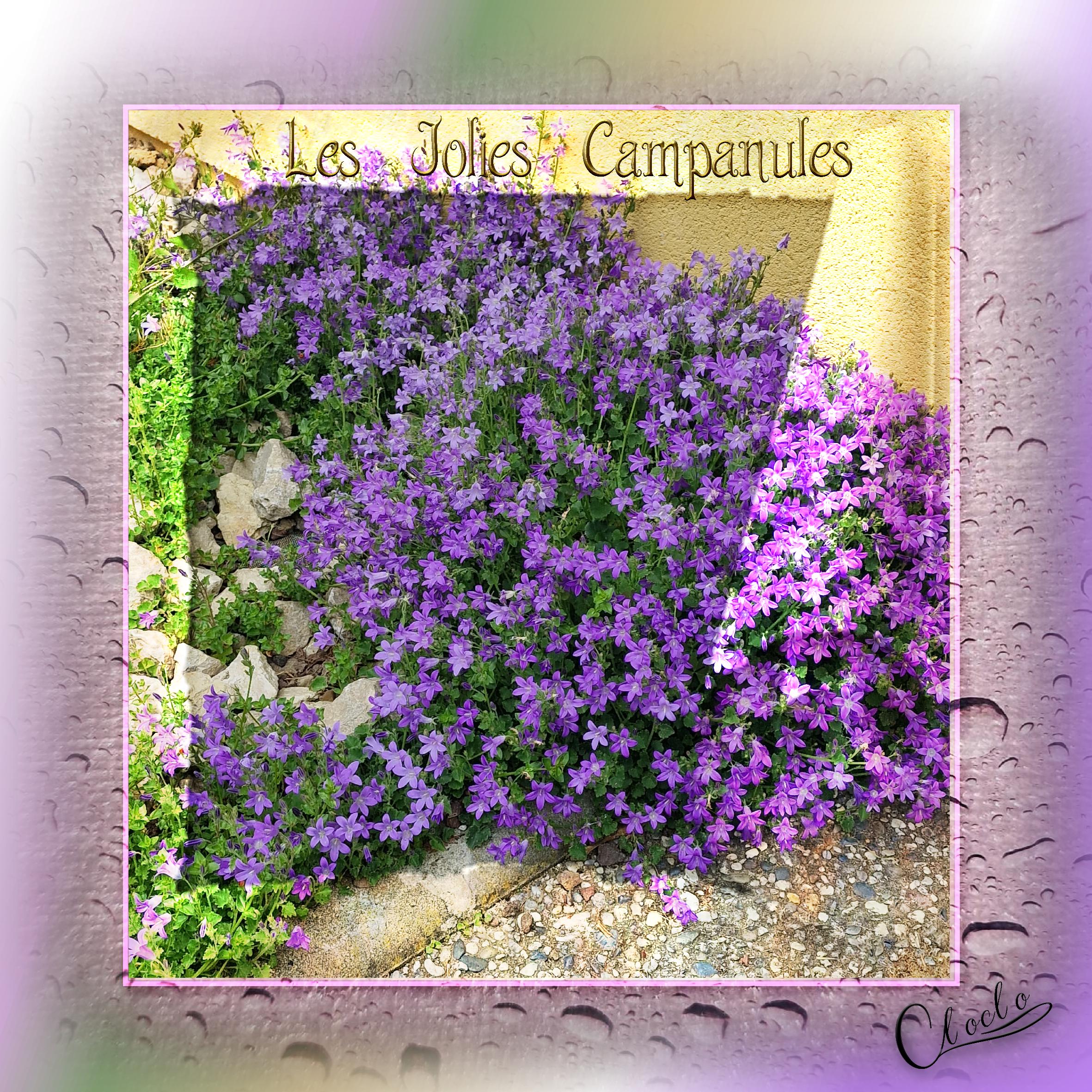 Composition1 du 3 juillet 2023.jpg