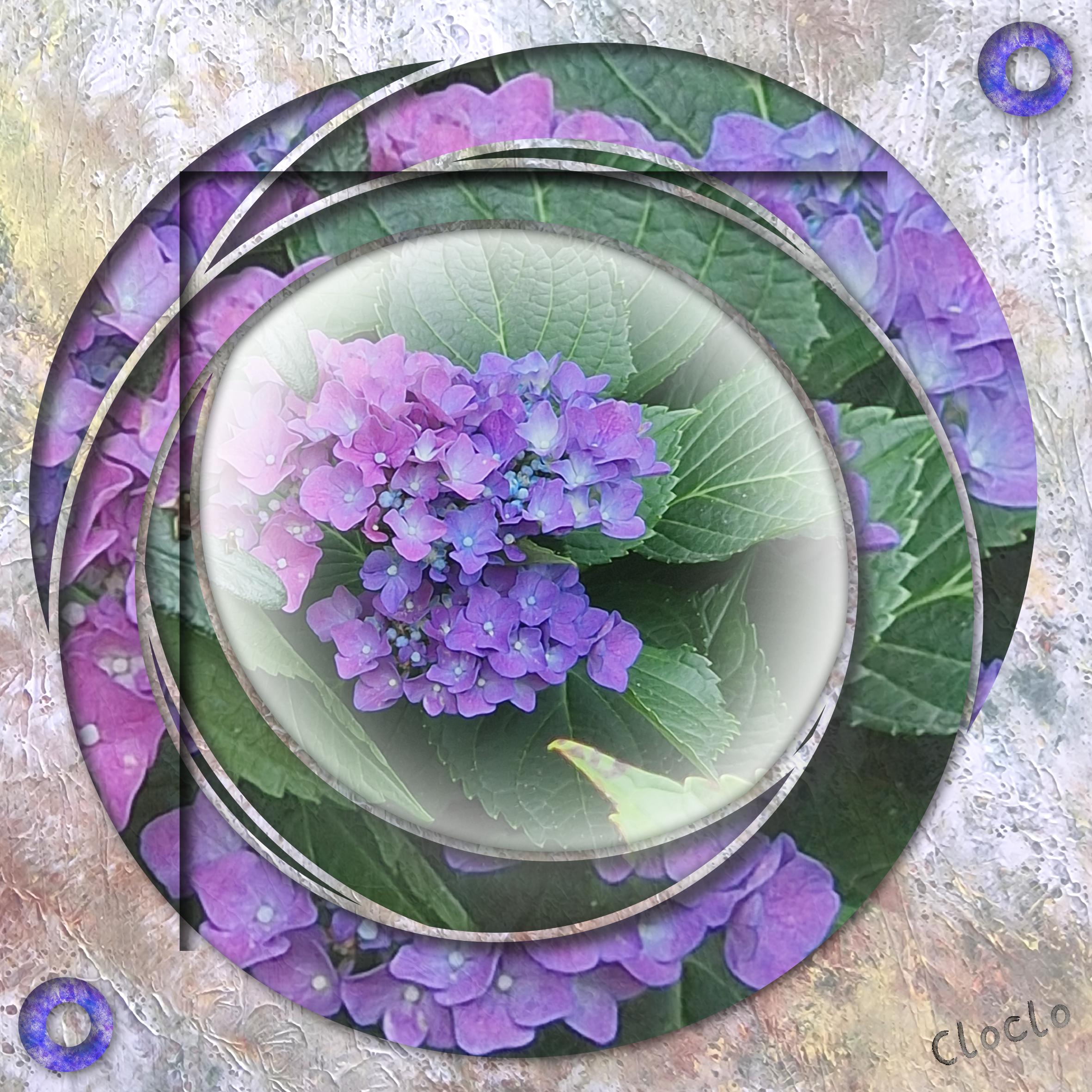 Compositon du 20 août 2022 les hortensias.jpg