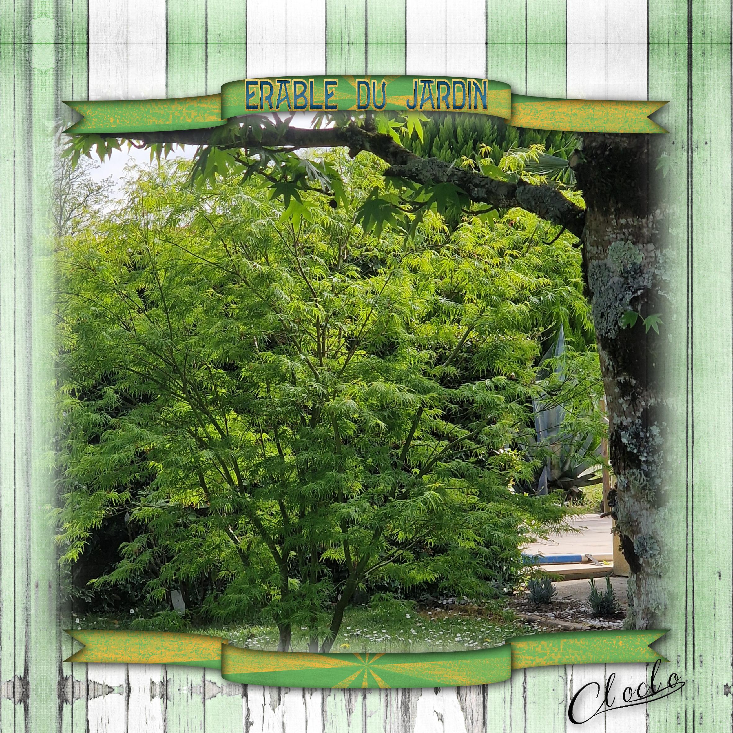 Compostion 1 du 4 mai 2024.jpg