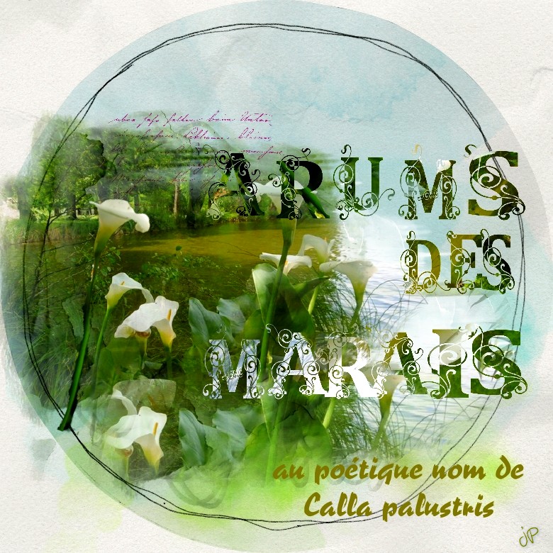 concours marie rose été 2022.jpg