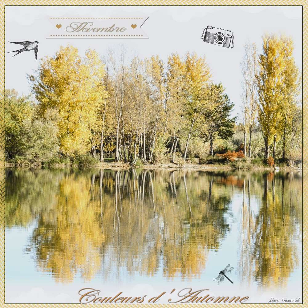 concourscompostudioscrap