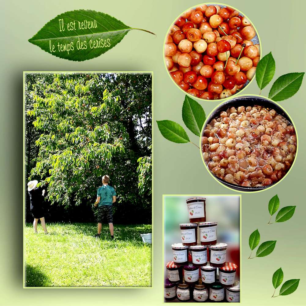 Confiture_de_cerises