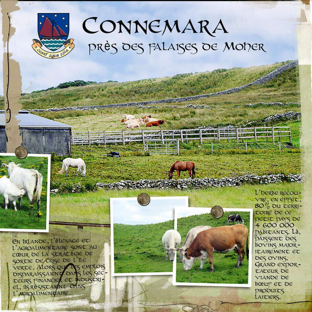 Connemara 4