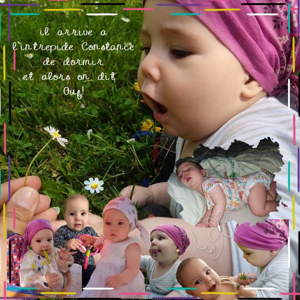 constance il arrive..._05-06-23.jpg