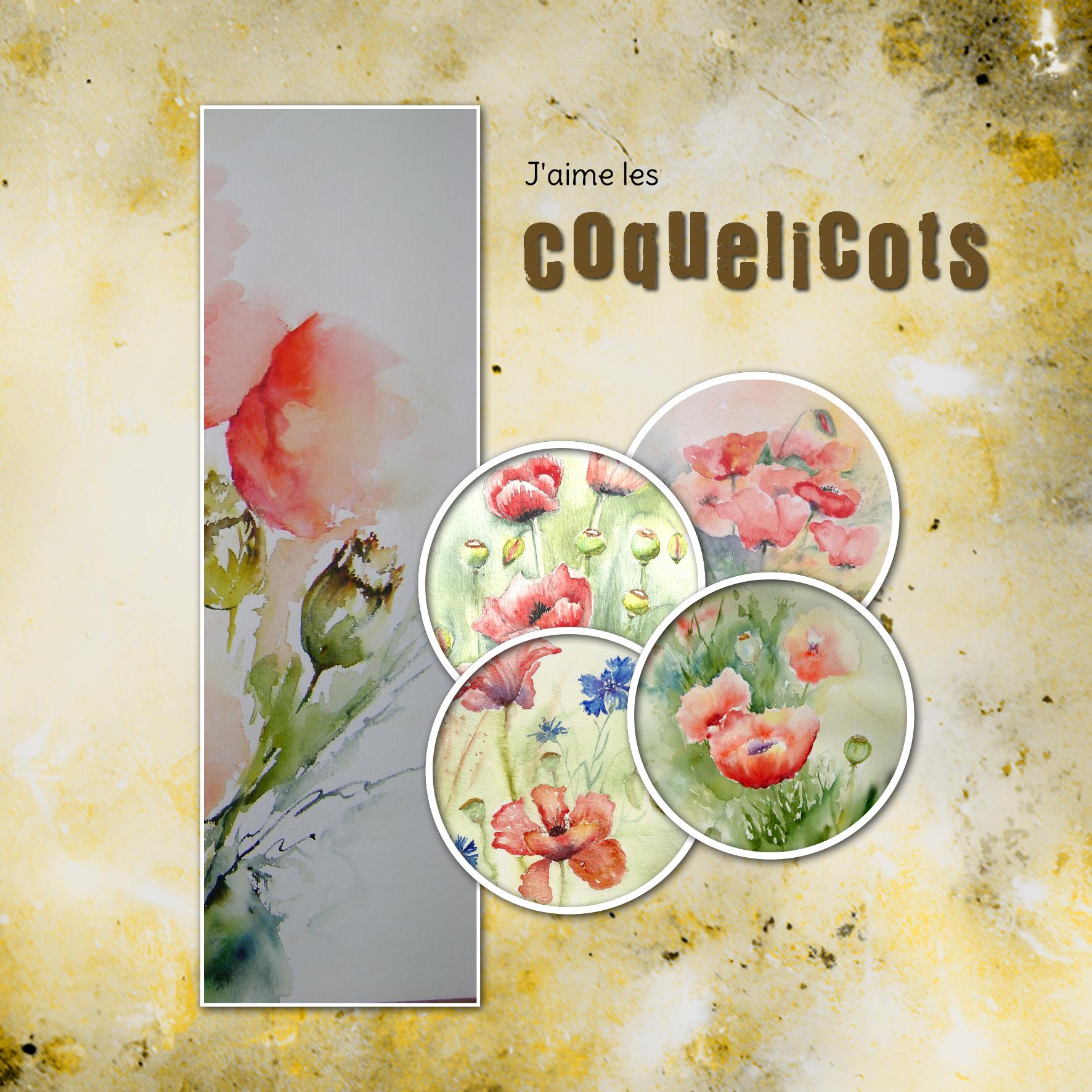 coquelicot 03.jpg