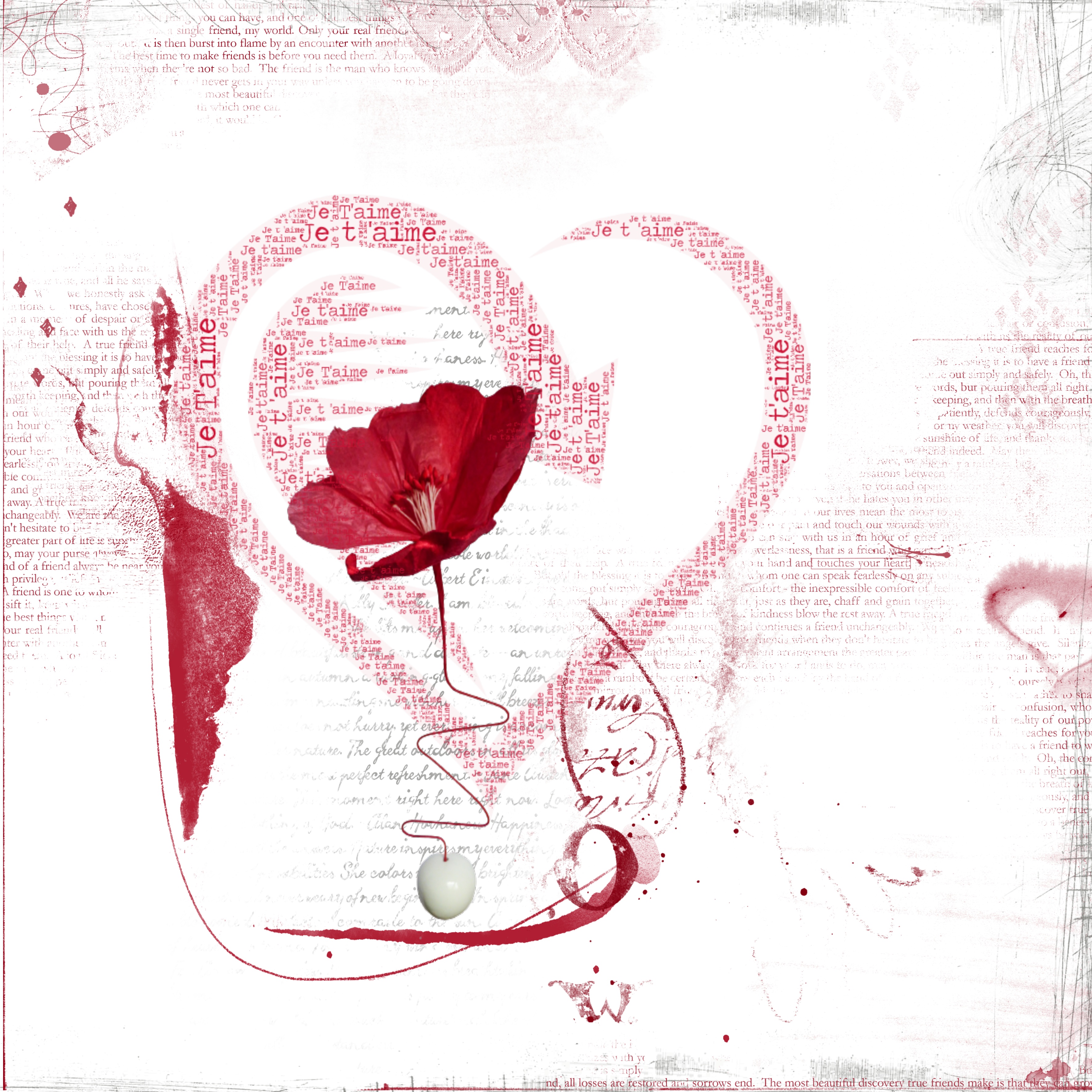 coquelicot 2.jpg challenge Withmo