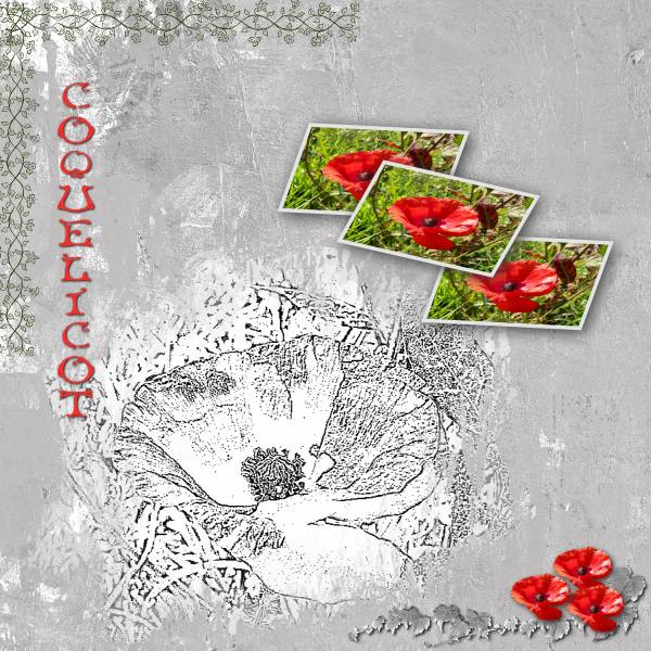 Coquelicot, défi Martinas dessin et image perspective