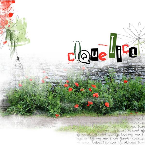 coquelicot
