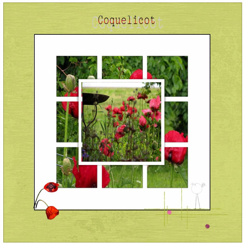 Coquelicot