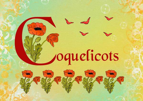Coquelicots