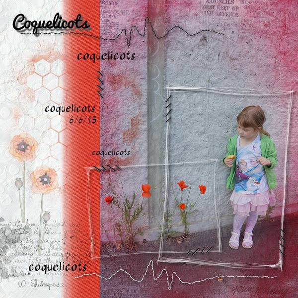 coquelicots