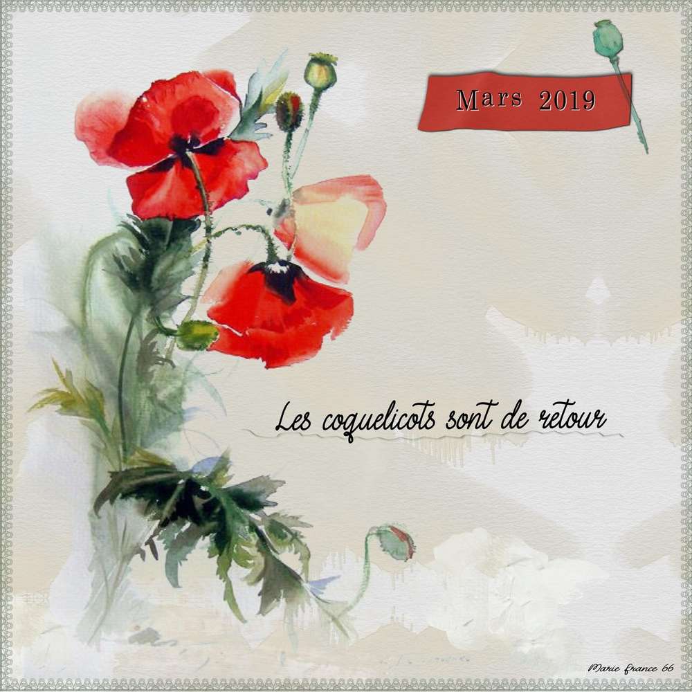 COQUELICOTS