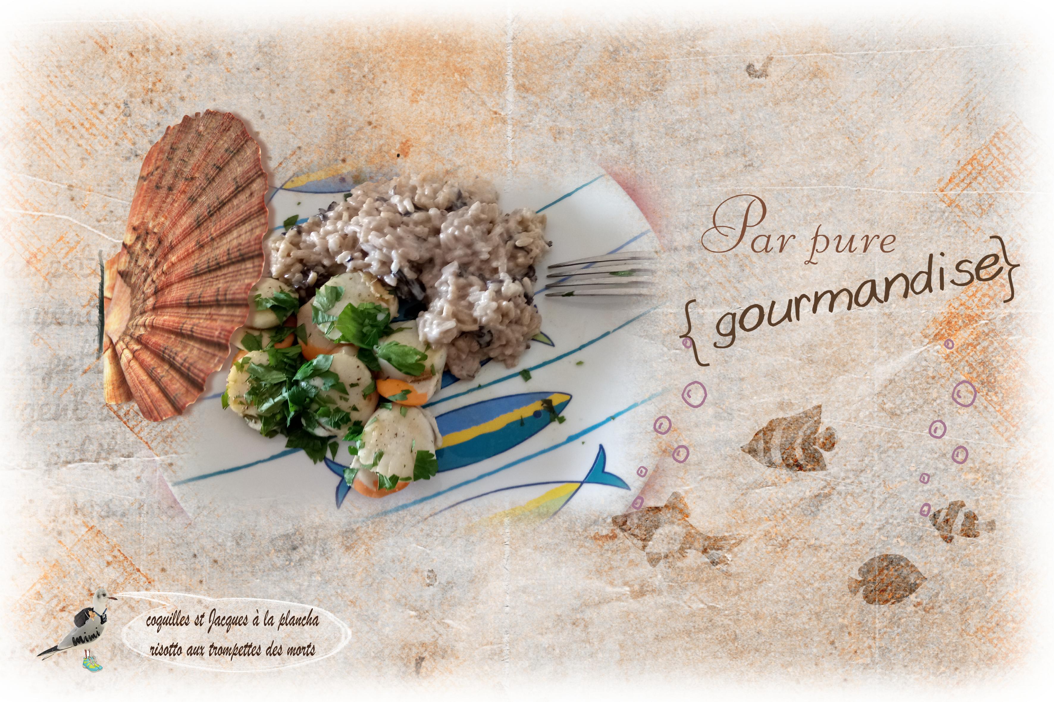 coquilles st Jacques
