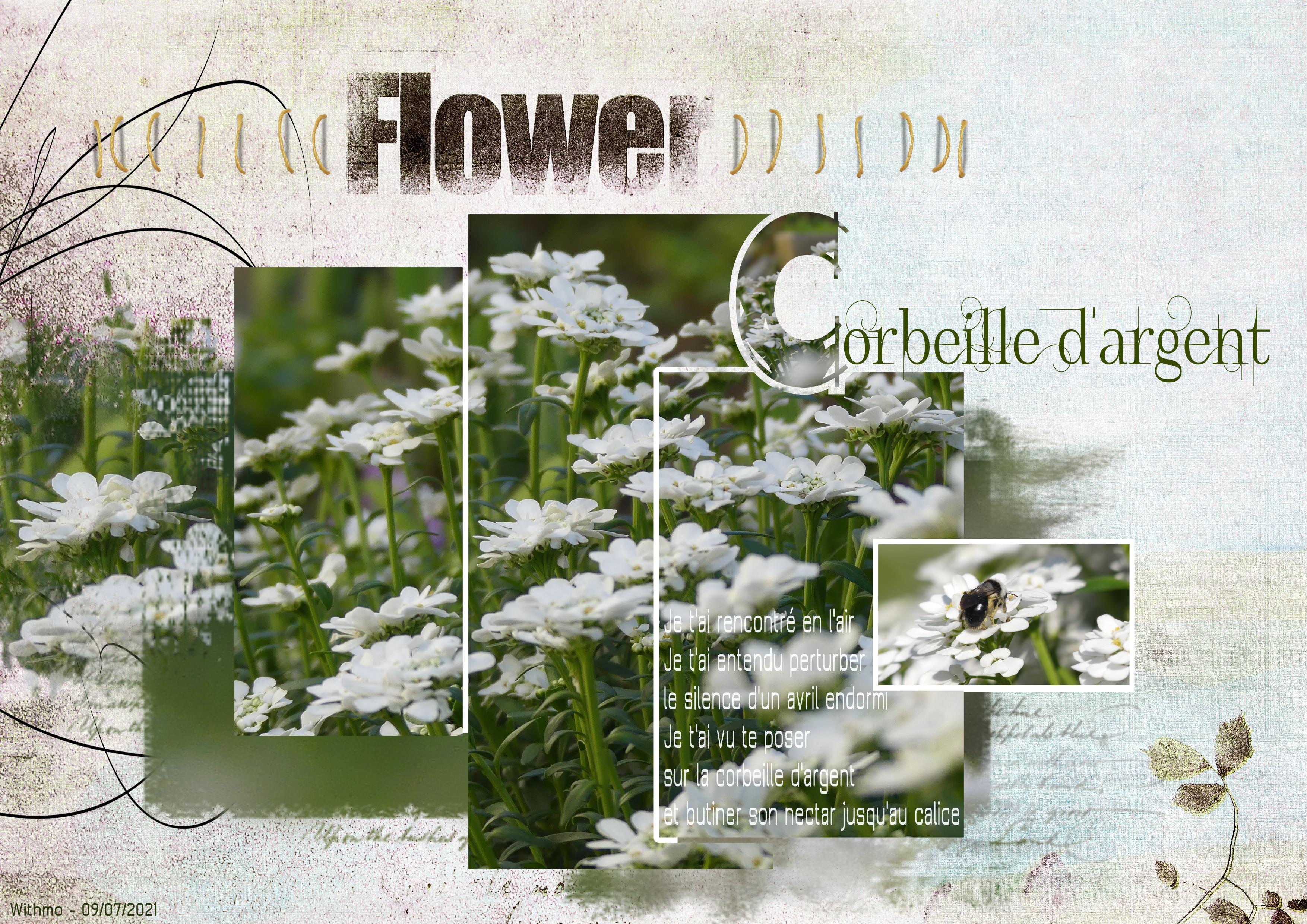 corbeille argent.jpg