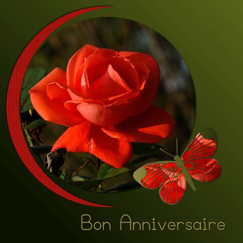 CORINNE (CORINNECHA) - BON ANNIVERSAIRE