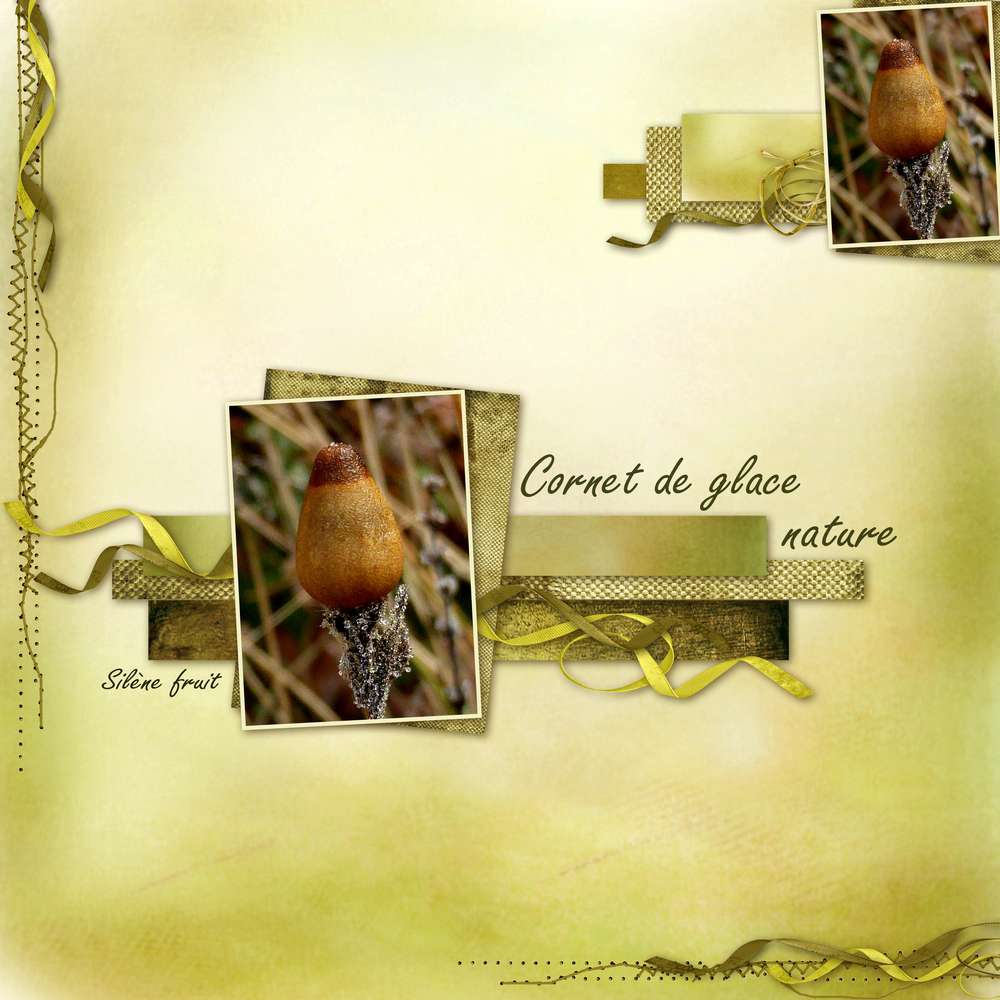 Cornet de glace "nature"