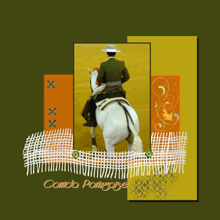 Corrida portugaise