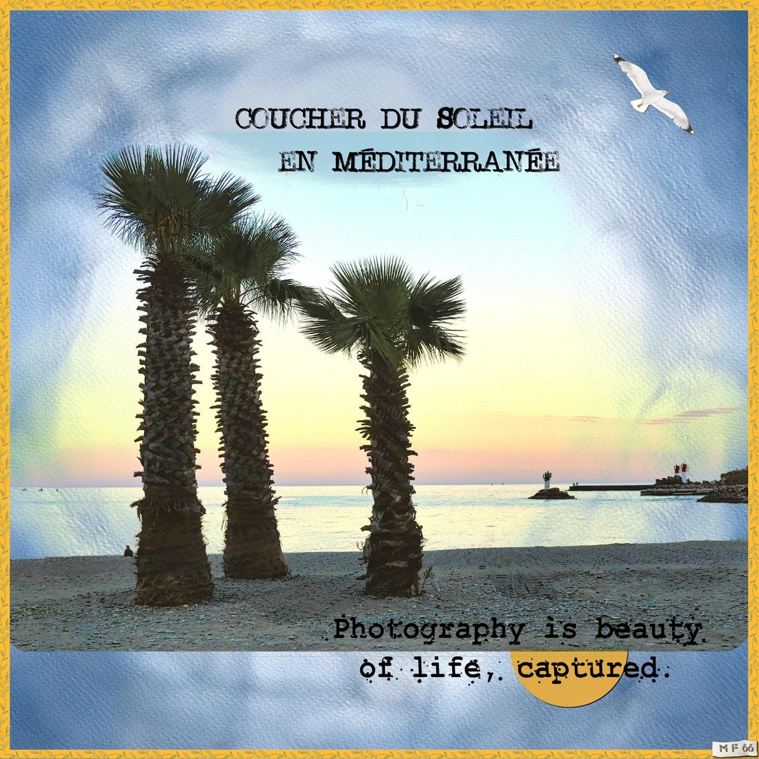 coucher de soleil sur la mer 1er novembre 2022.jpg