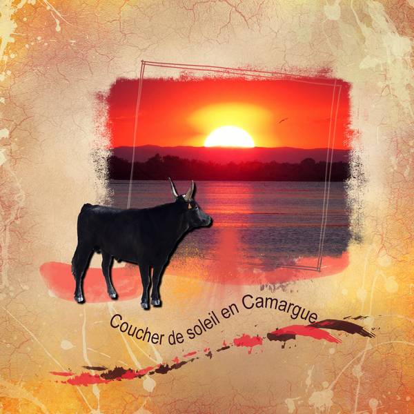 Coucher_de_soleil_en_Camargue_