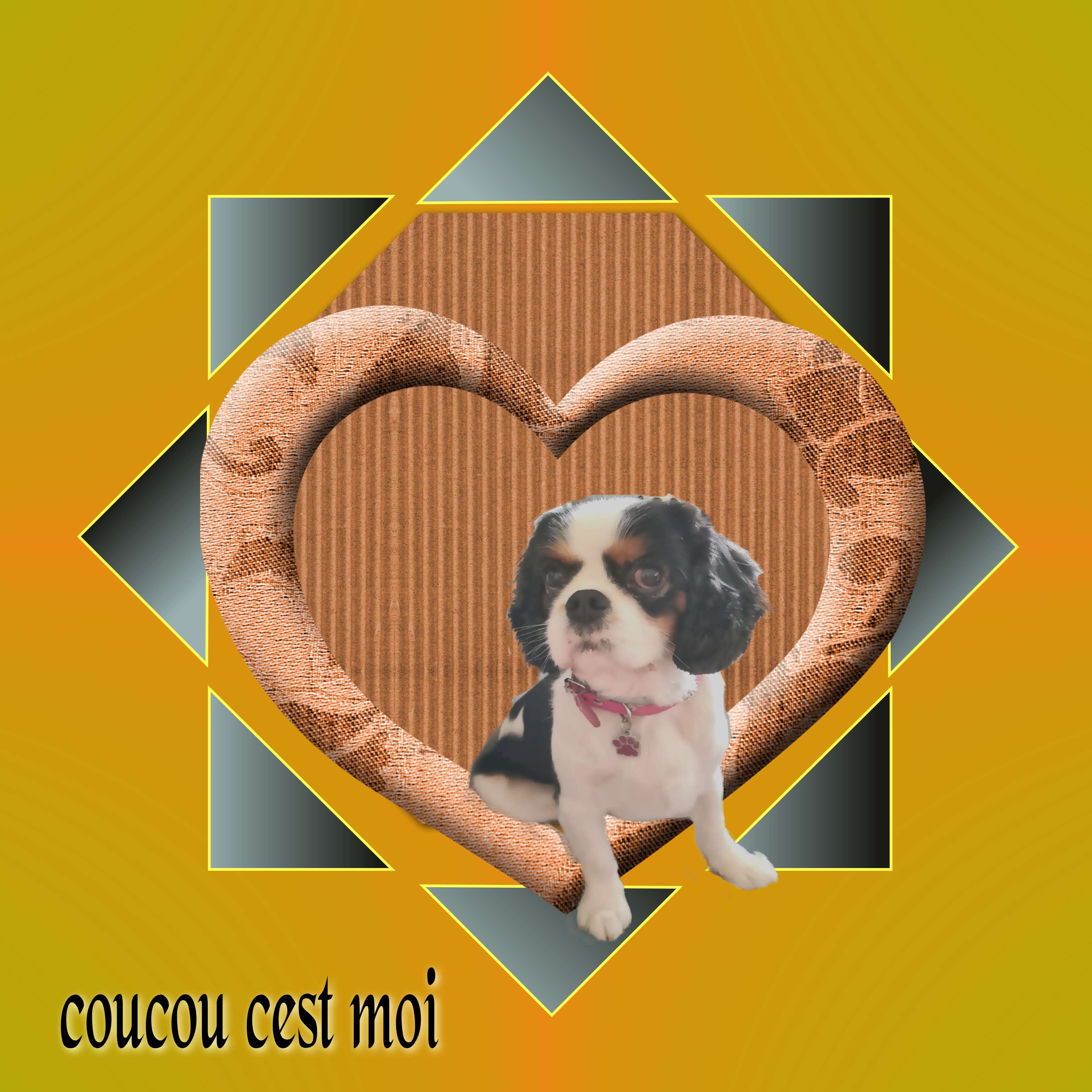 coucou c est moi.jpg