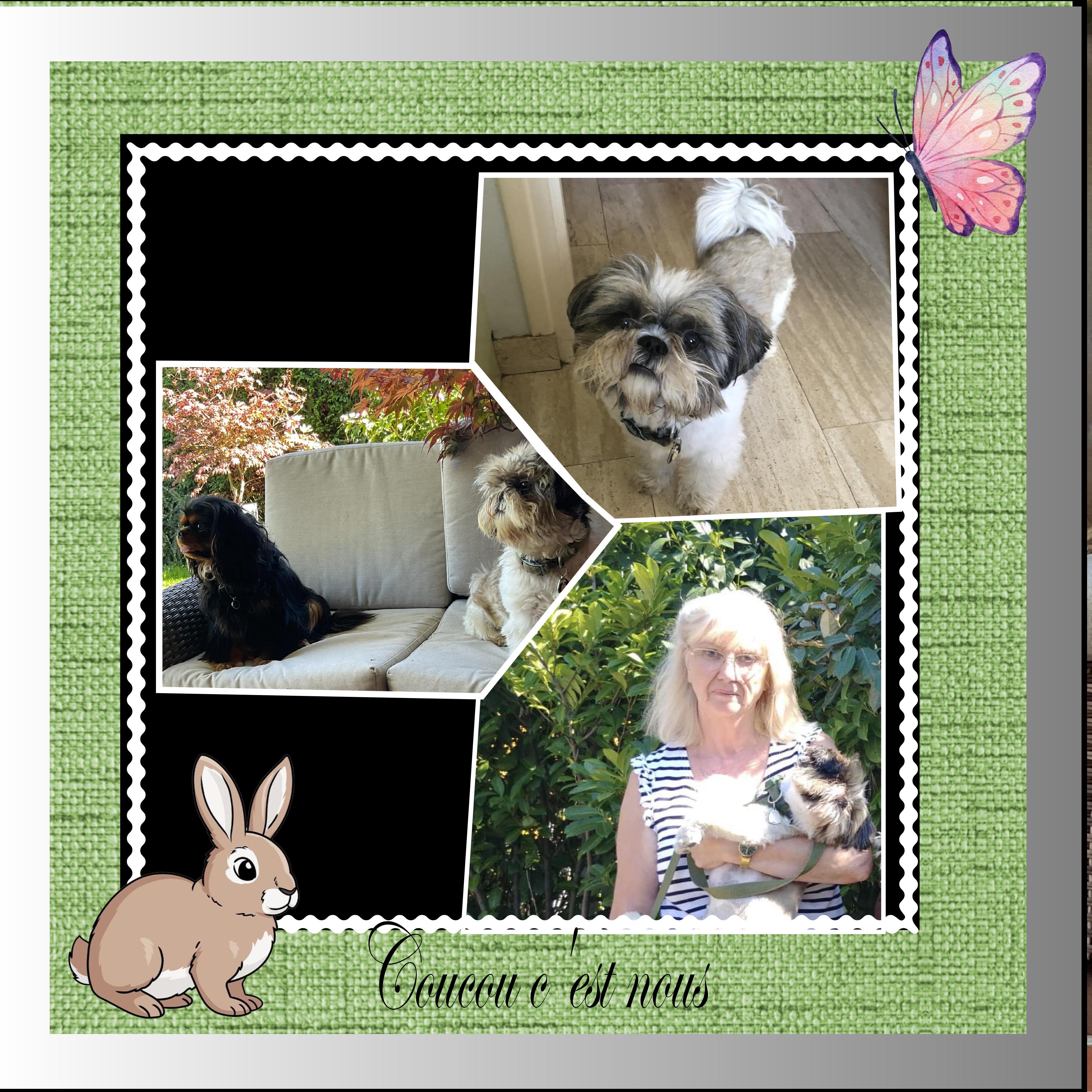 coucou c est nous.jpg