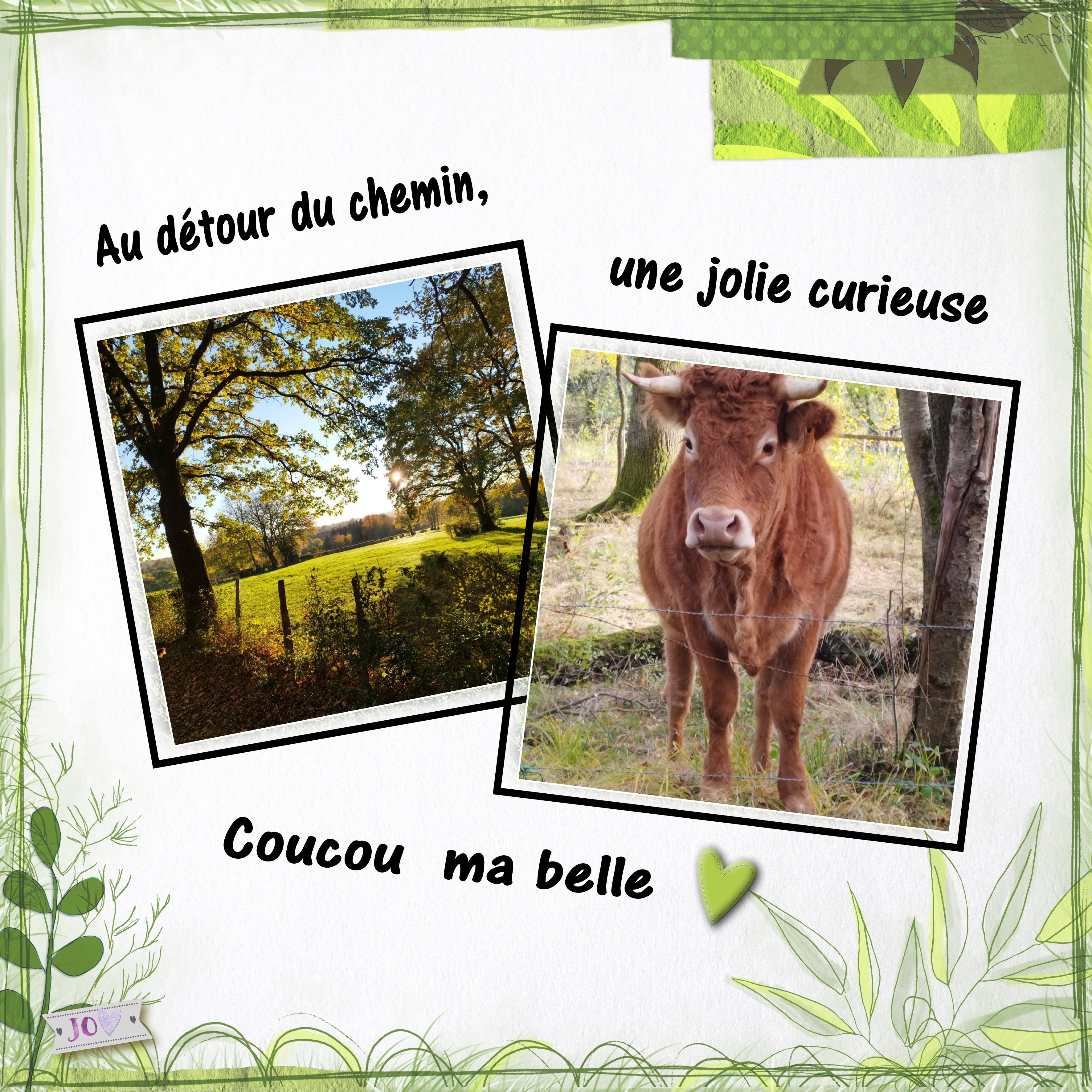 coucou la petite curieuse