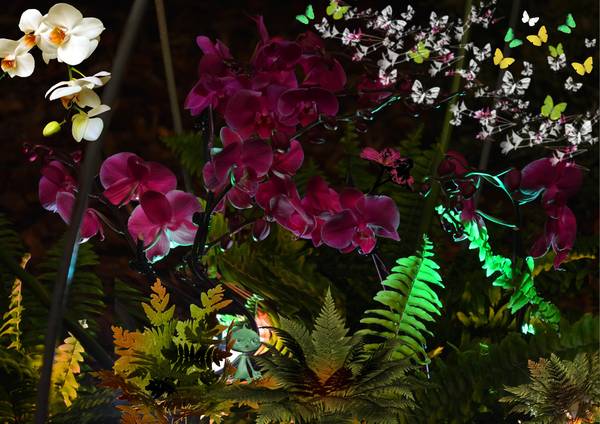 Coucou, n'est pas peur !